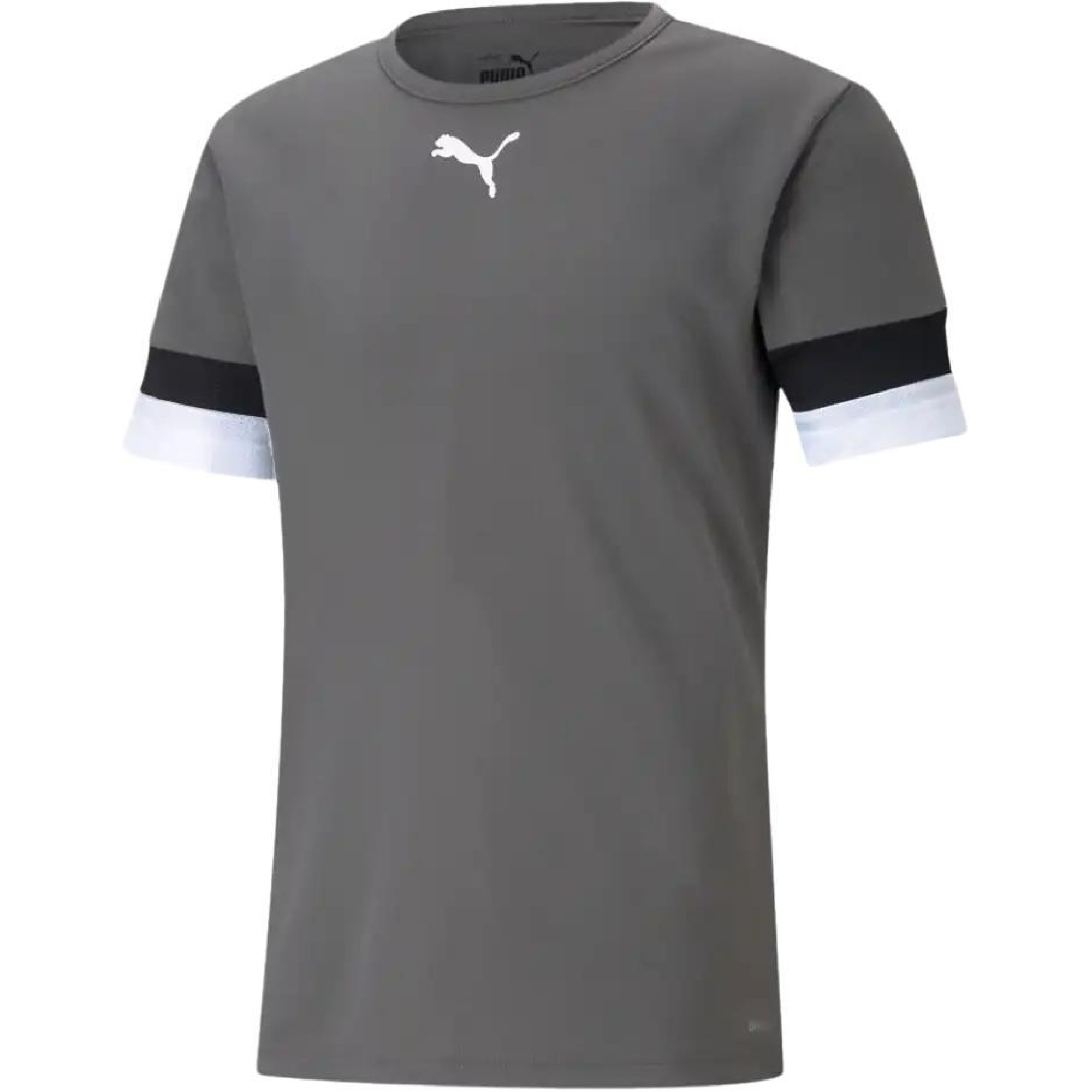 Футболка Puma teamRISE Jersey сірий Чол M 704932-13 M - Robinzon.ua