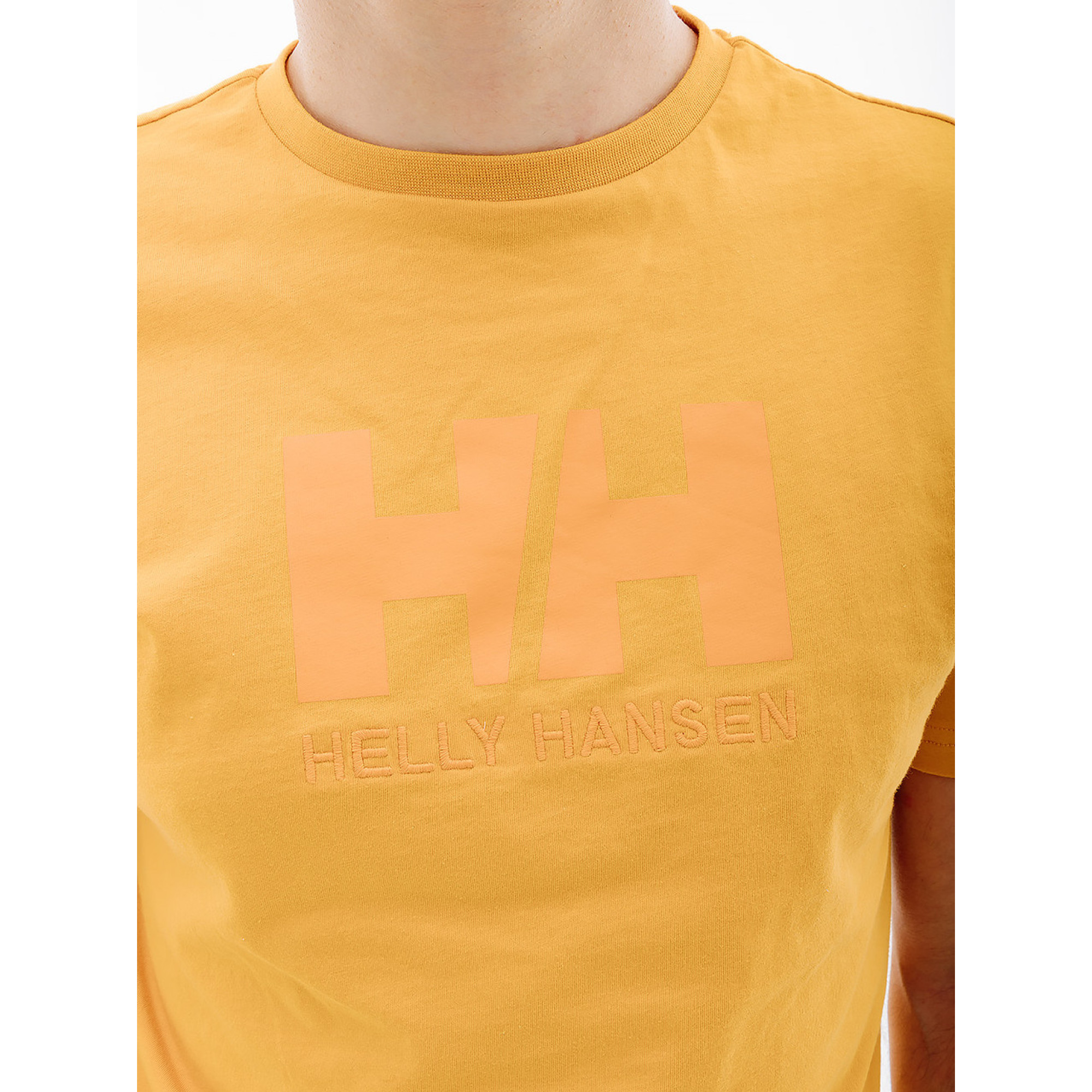 Мужская Футболка HELLY HANSEN HH LOGO T-SHIRT Оранжевый M (7d33979-364 M) - 1 - Robinzon.ua