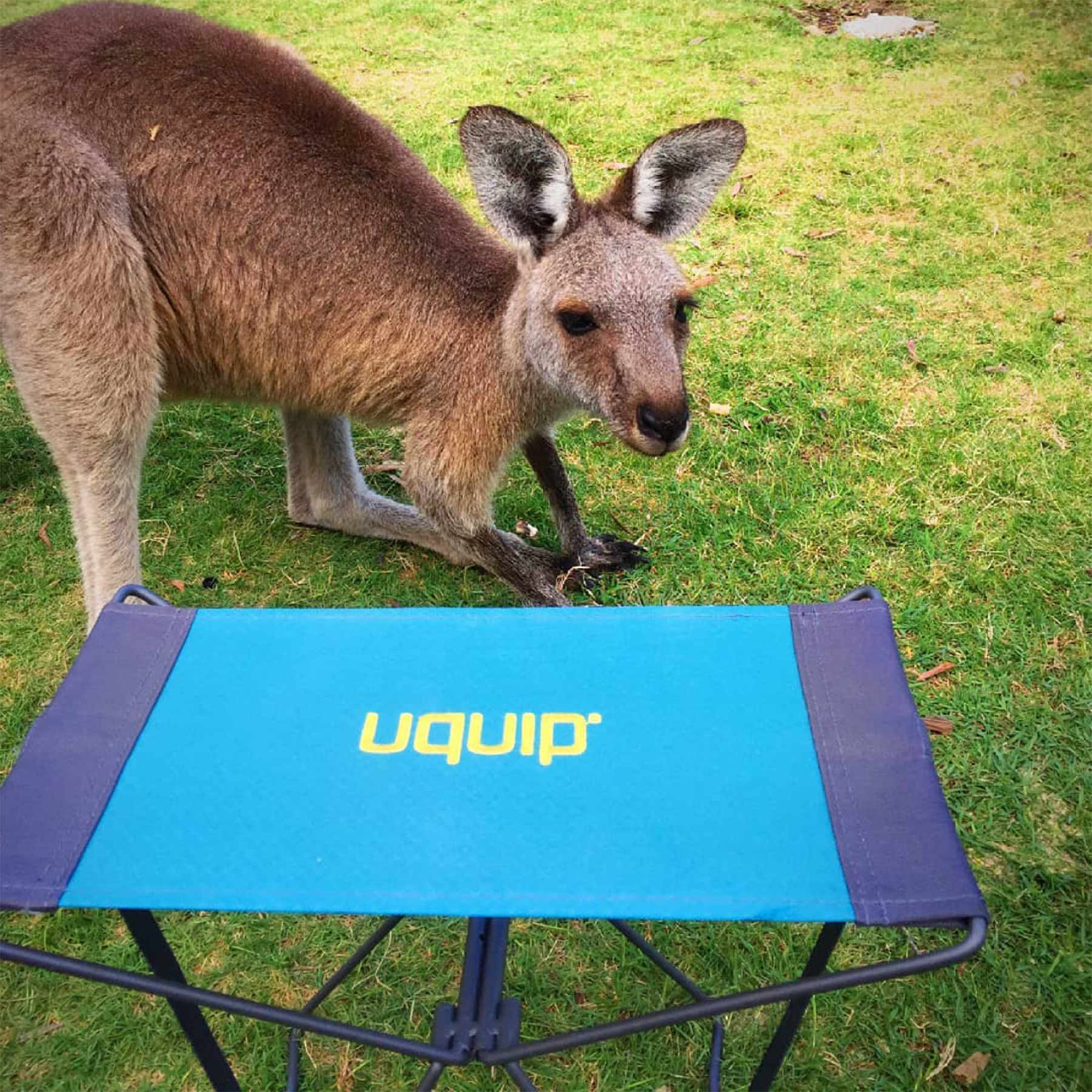 Стілець розкладний Uquip Fancy Blue/Grey (244017) - Robinzon.ua