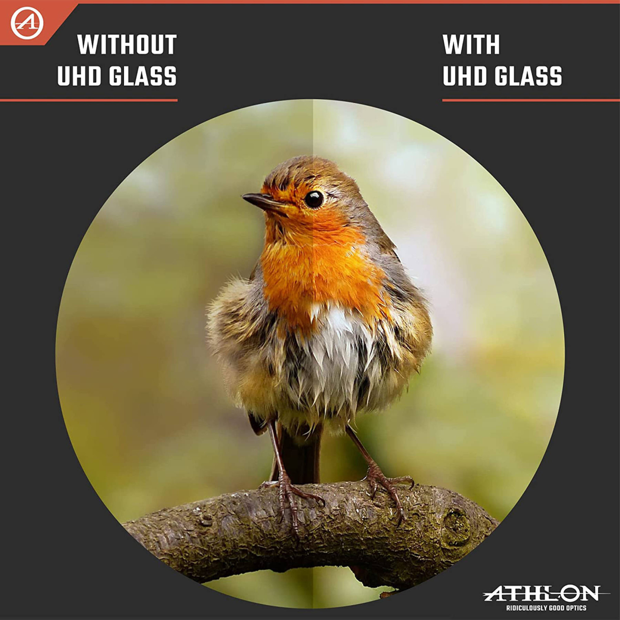 Бінокль Athlon Midas G2 UHD 12x50 (113006) - 2 - Robinzon.ua