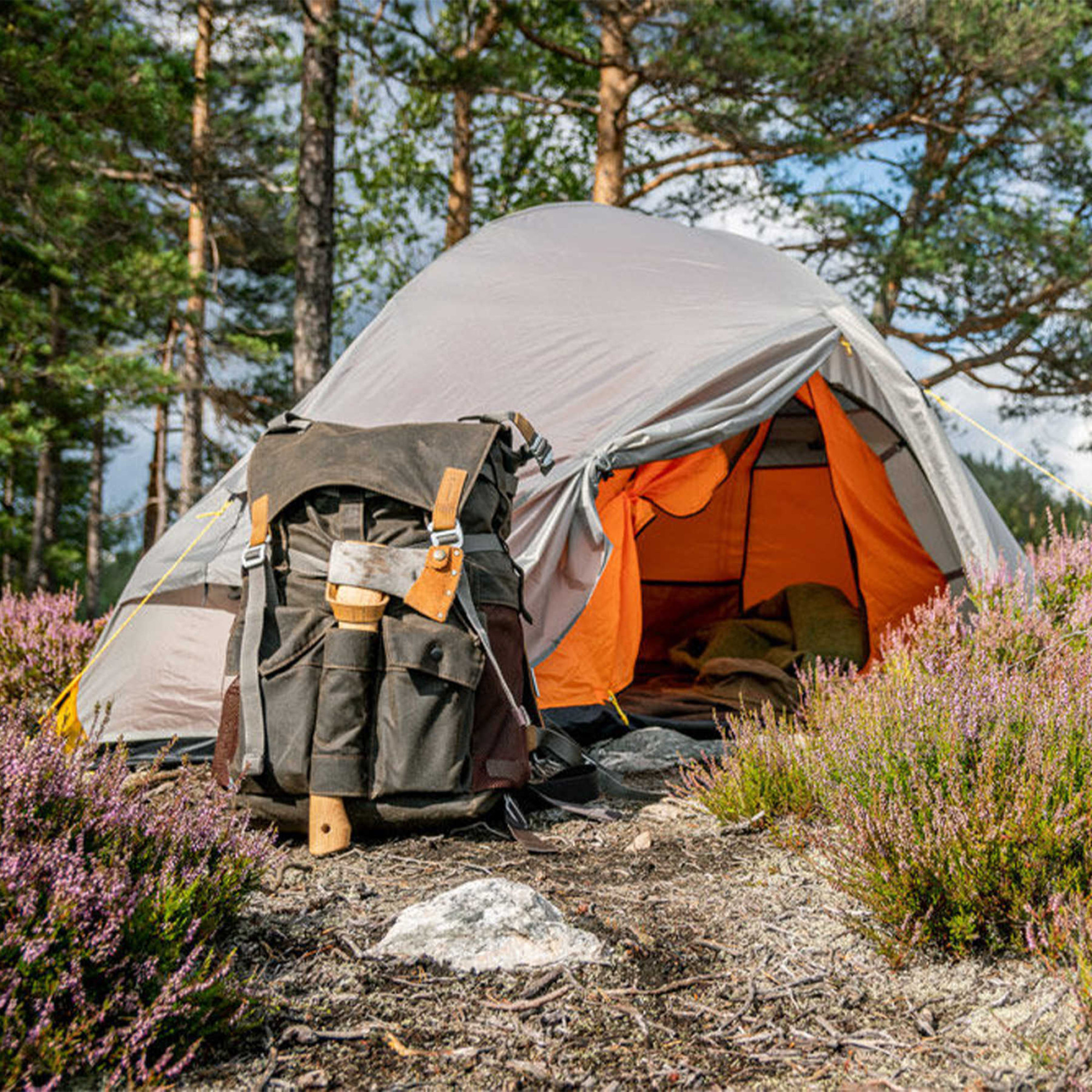 Намет Wechsel Venture 1 TL Laurel Oak (231058) - 2 - Robinzon.ua