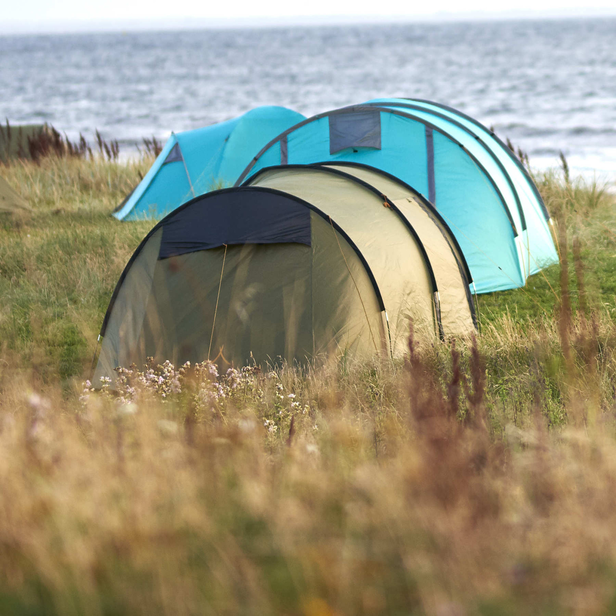 Намет Grand Canyon Robson 3 Alu Capulet Olive (30921260) - 2 - Robinzon.ua