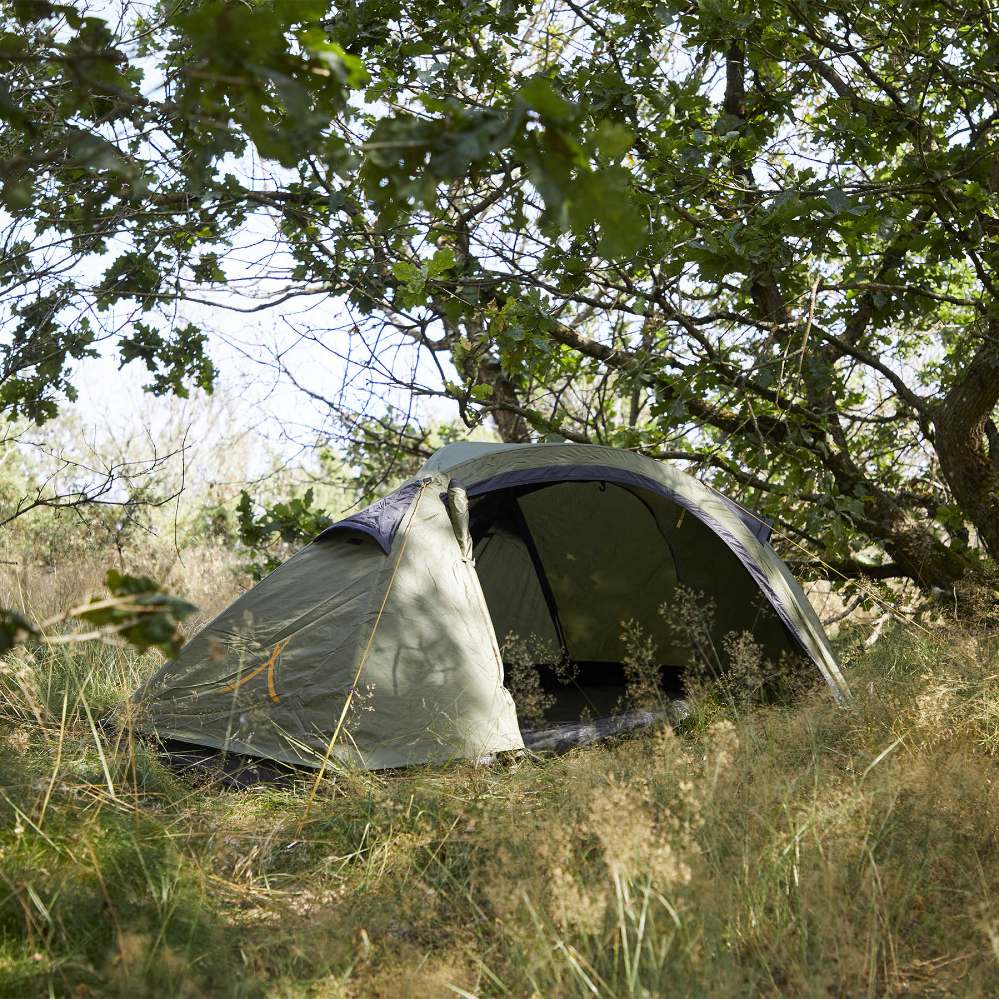 Намет Grand Canyon Apex 1 Capulet Olive (330001) - Robinzon.ua