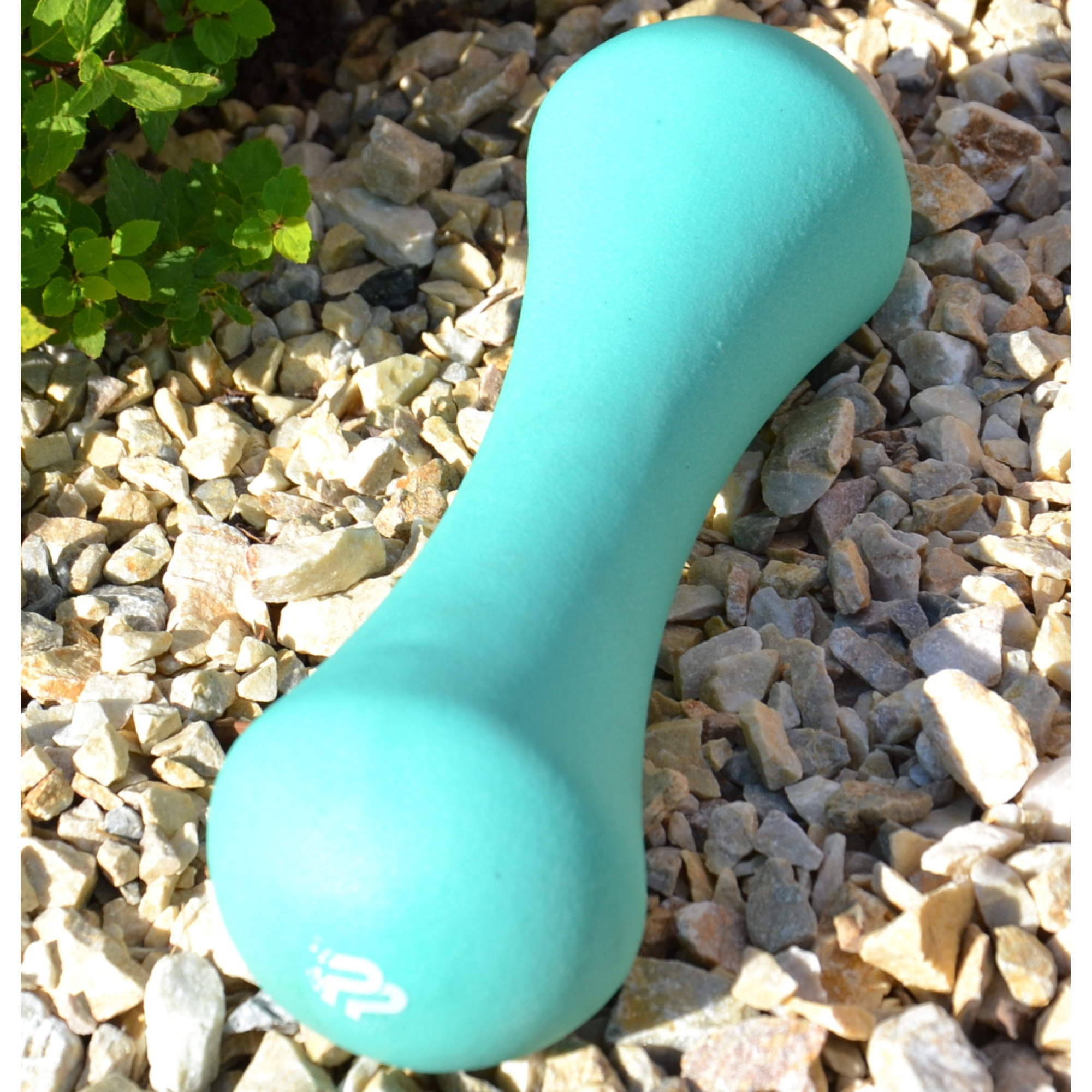 Гантель неопреновая PowerPlay 4126 Spartacus 2.5 кг. Мятная (1шт.) - 1 - Robinzon.ua