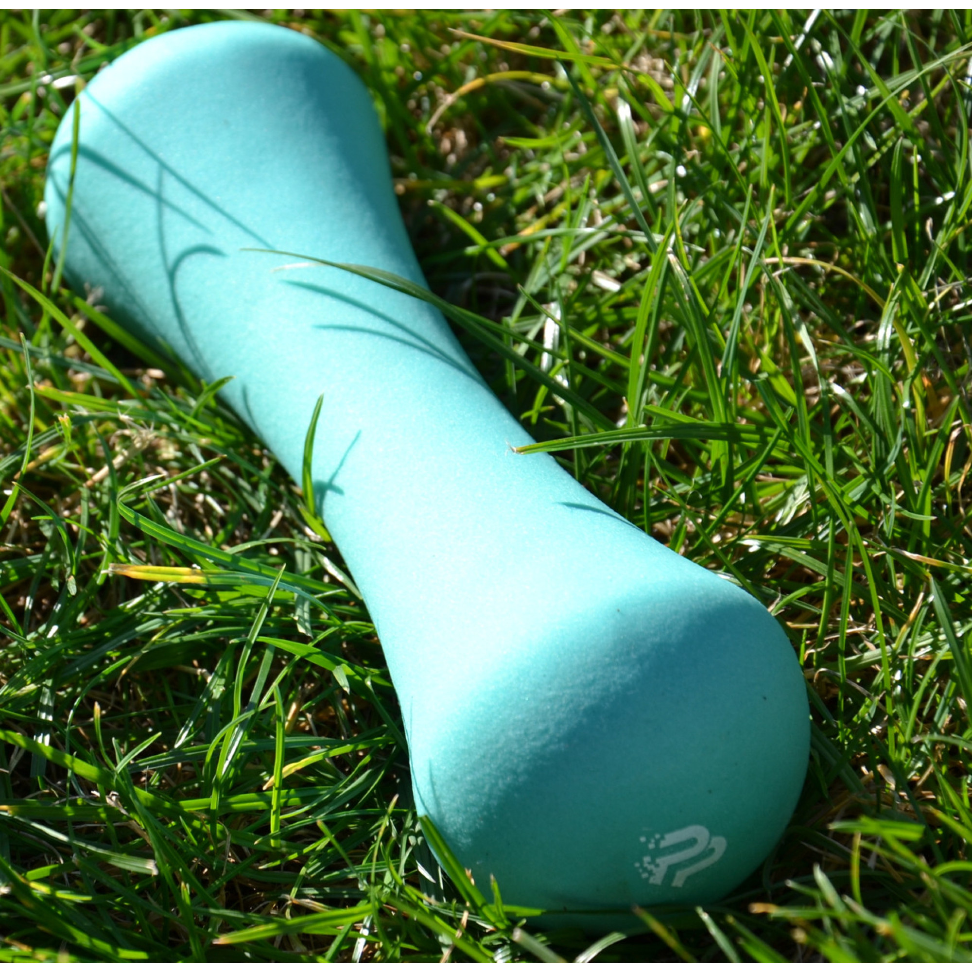 Гантель неопреновая PowerPlay 4126 Spartacus 2.5 кг. Мятная (1шт.) - 2 - Robinzon.ua