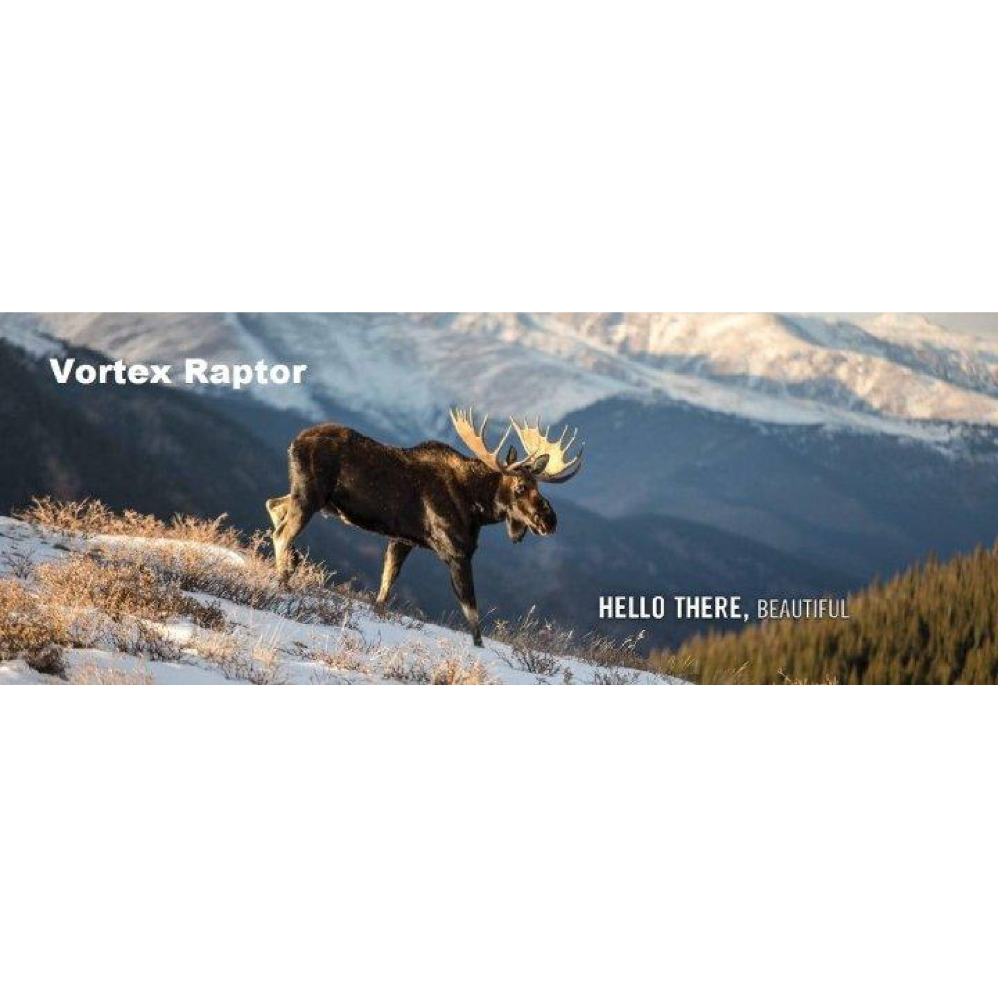 Бінокль Vortex Raptor 8.5x32 (R385) - 3 - Robinzon.ua