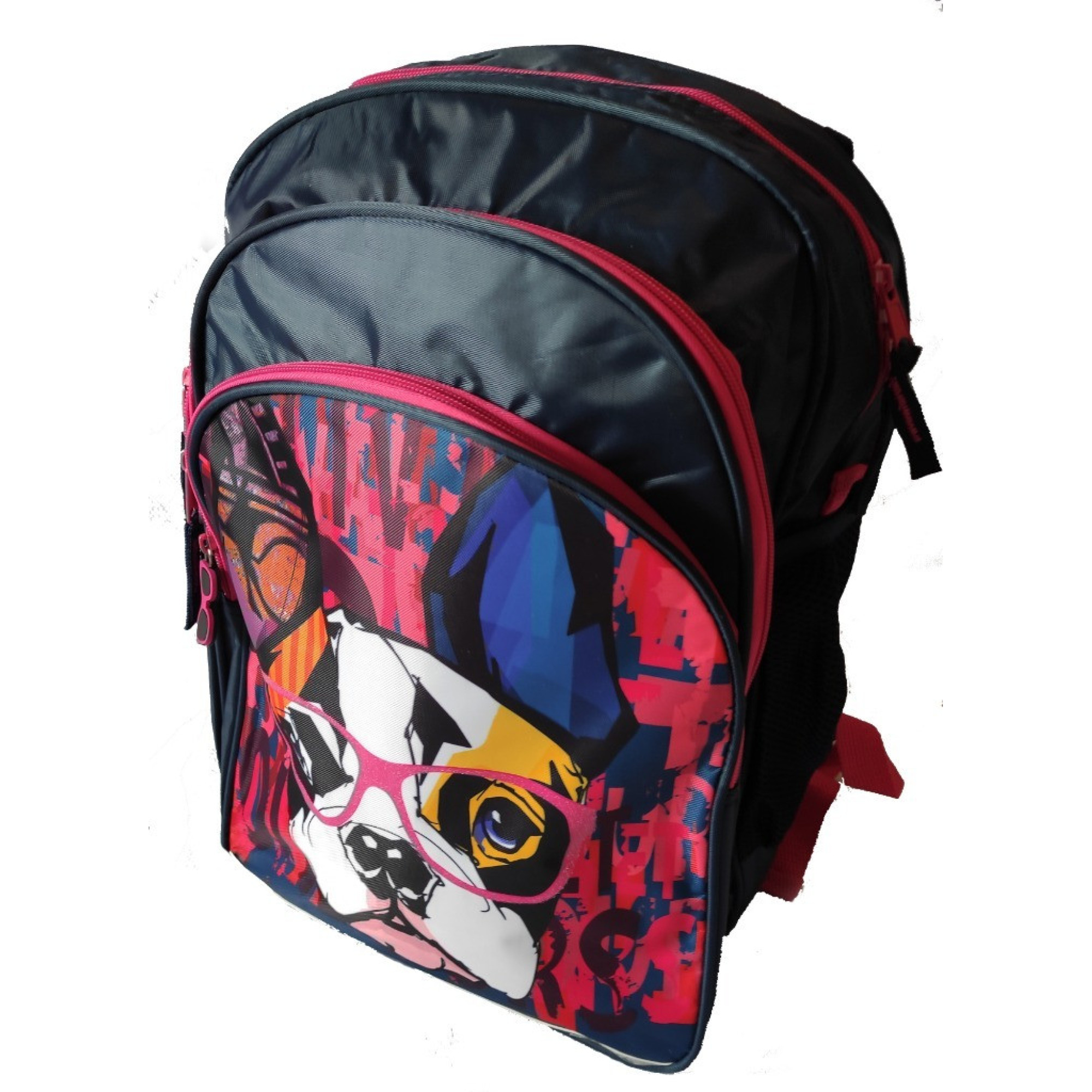 Рюкзак шкільний Paso синій на 17л - Robinzon.ua