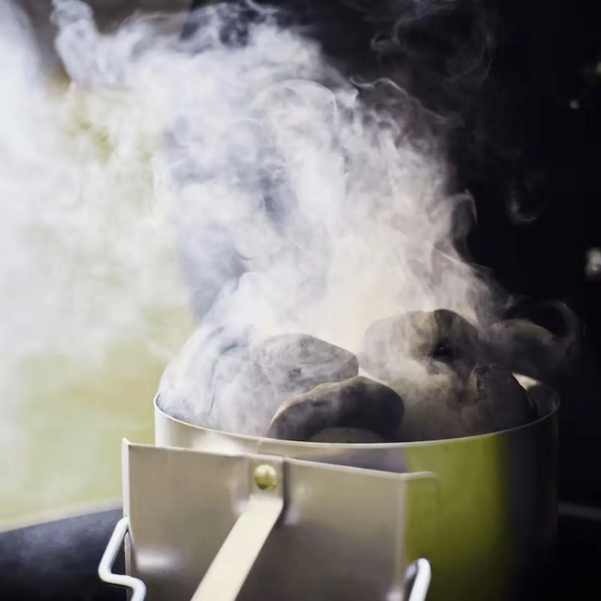 Брикети кокосові 4 кг Weber 18401 - 4 - Robinzon.ua