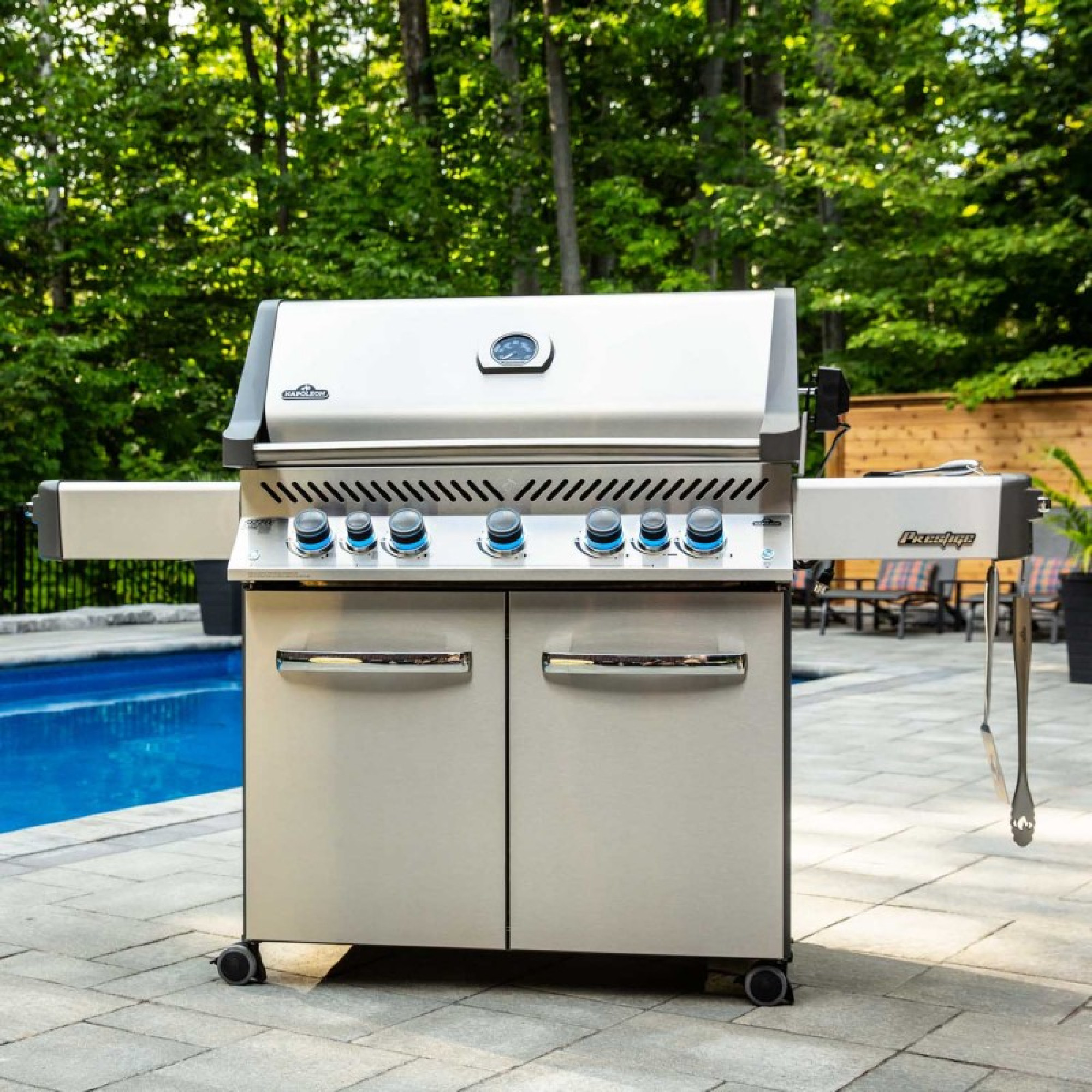 Газовый гриль Prestige 665 Napoleon, P665RSIBPSS-RU. - 5 - Robinzon.ua