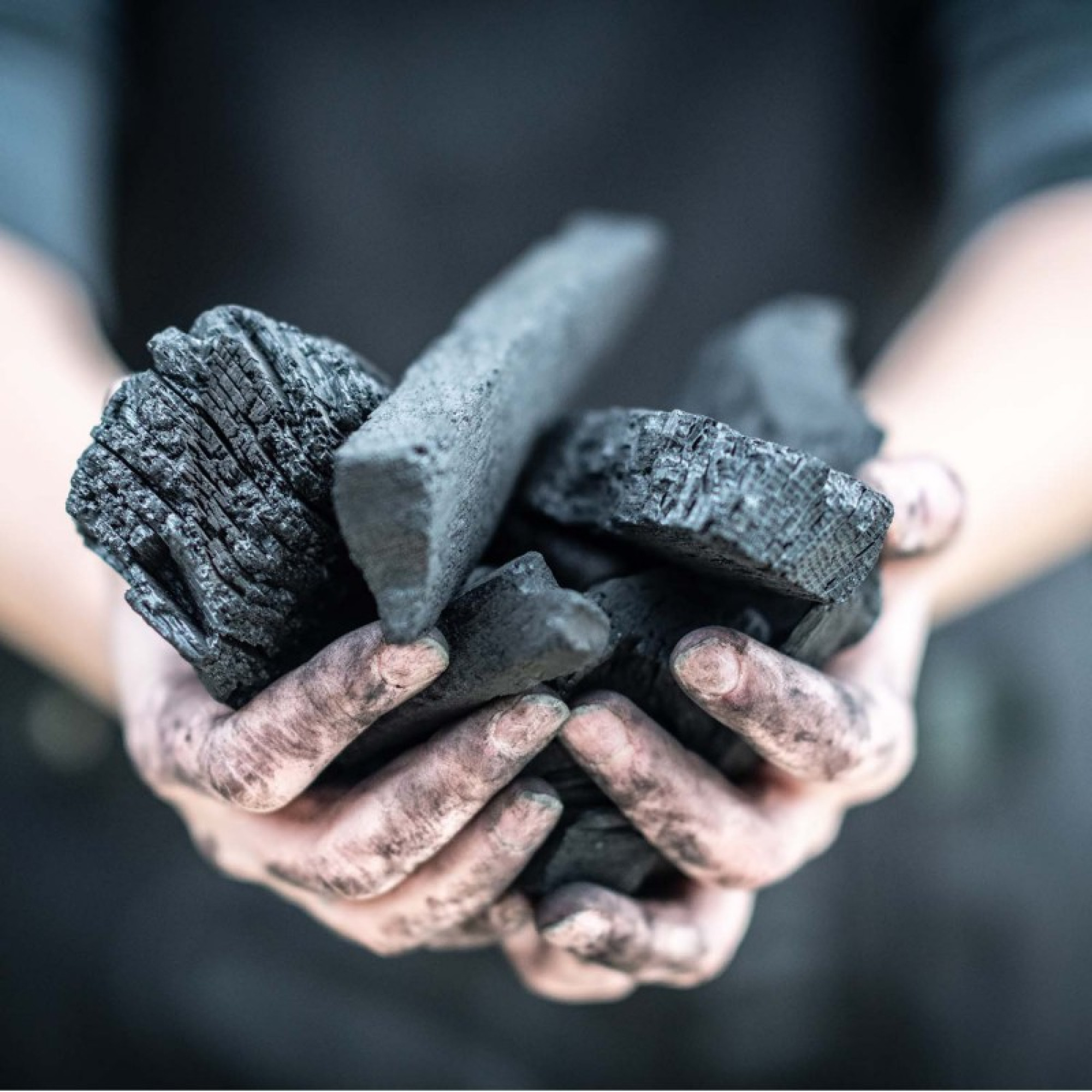 Вугілля деревне Big Green Egg 9кг 666298 - 2 - Robinzon.ua