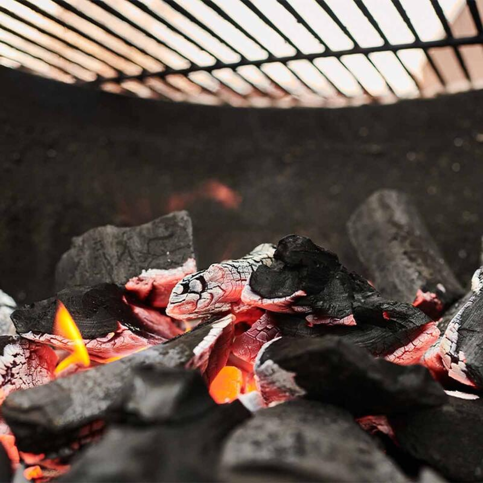 Вугілля деревне бездимне Big Green Egg 9 кг 818924 - 3 - Robinzon.ua