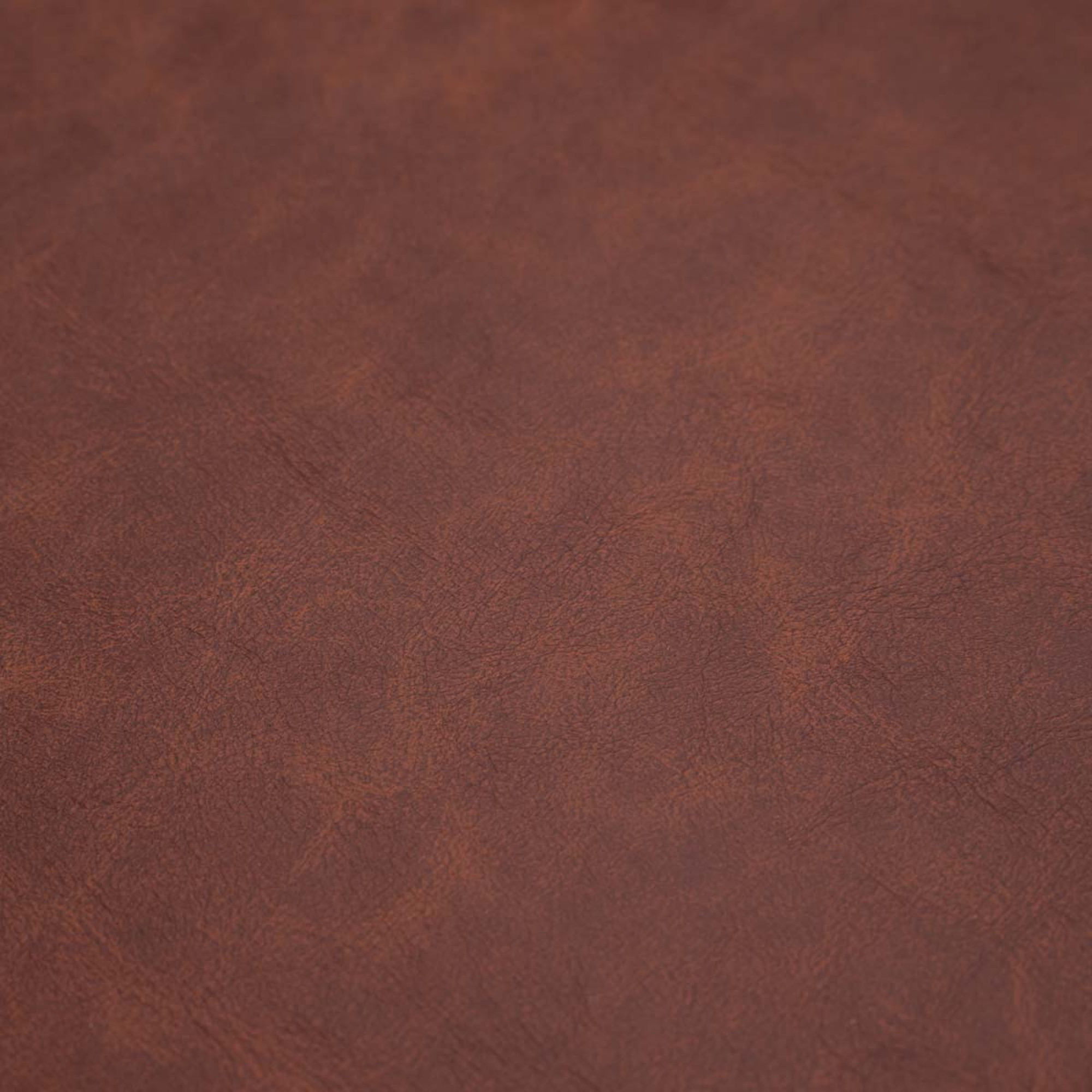 Підставки (килимки) для столу SANTOS, 2 шт 233507 - 2 - Robinzon.ua