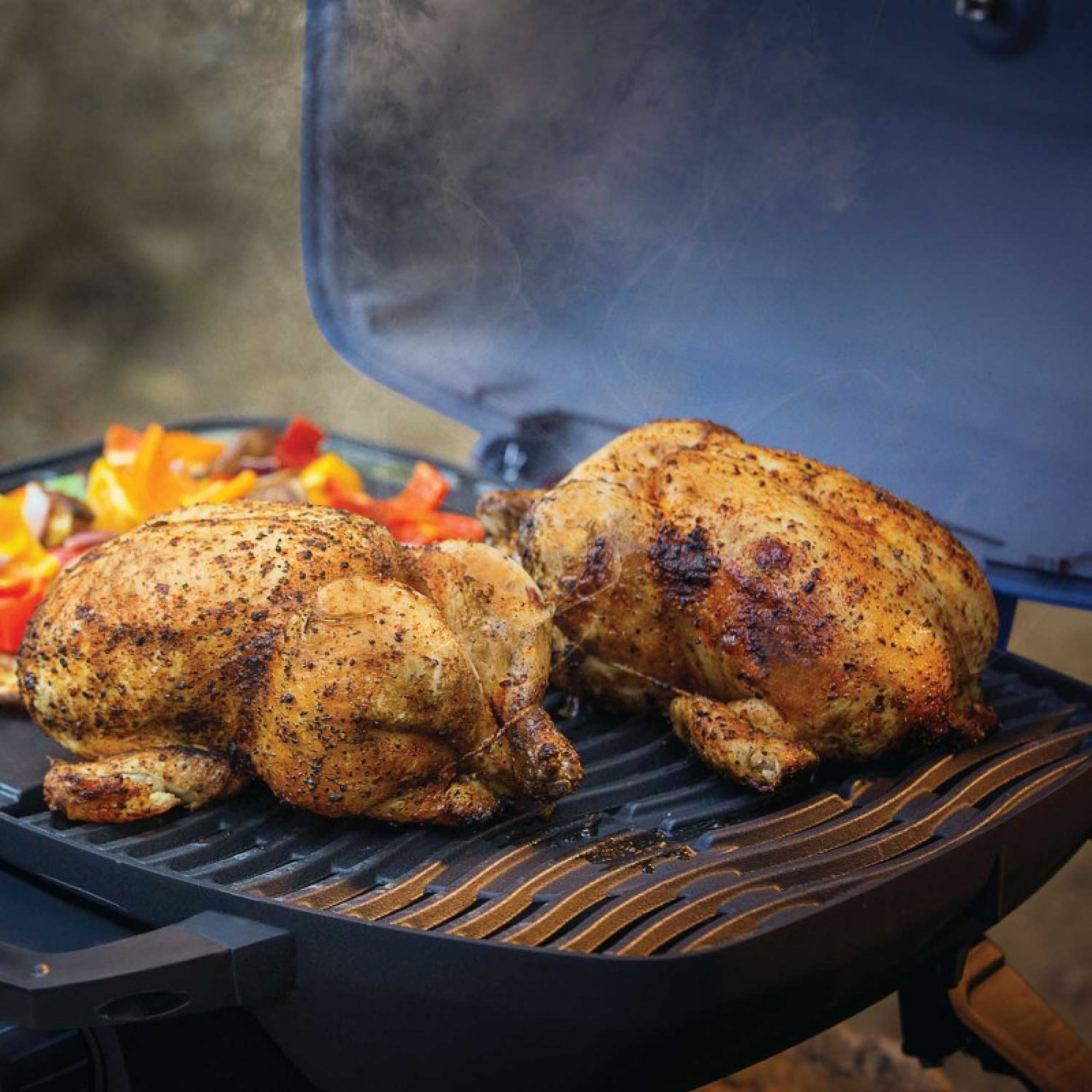 Газовий портативний гриль Napoleon TravelQ TQ285-BK-1-СЕ - 3 - Robinzon.ua