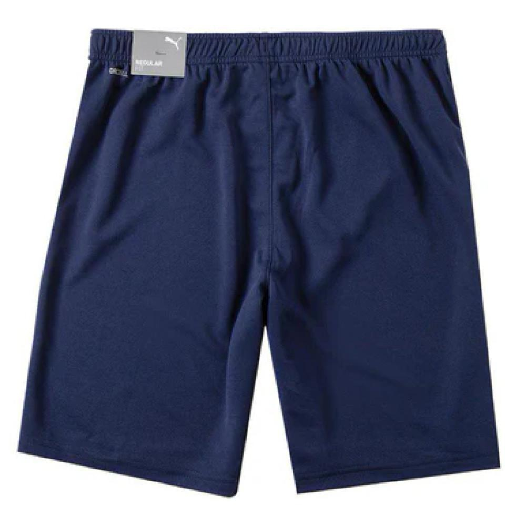 Шорти Puma teamRISE Short темно-синій Чол 3XL  704942-06 3XL - 1 - Robinzon.ua