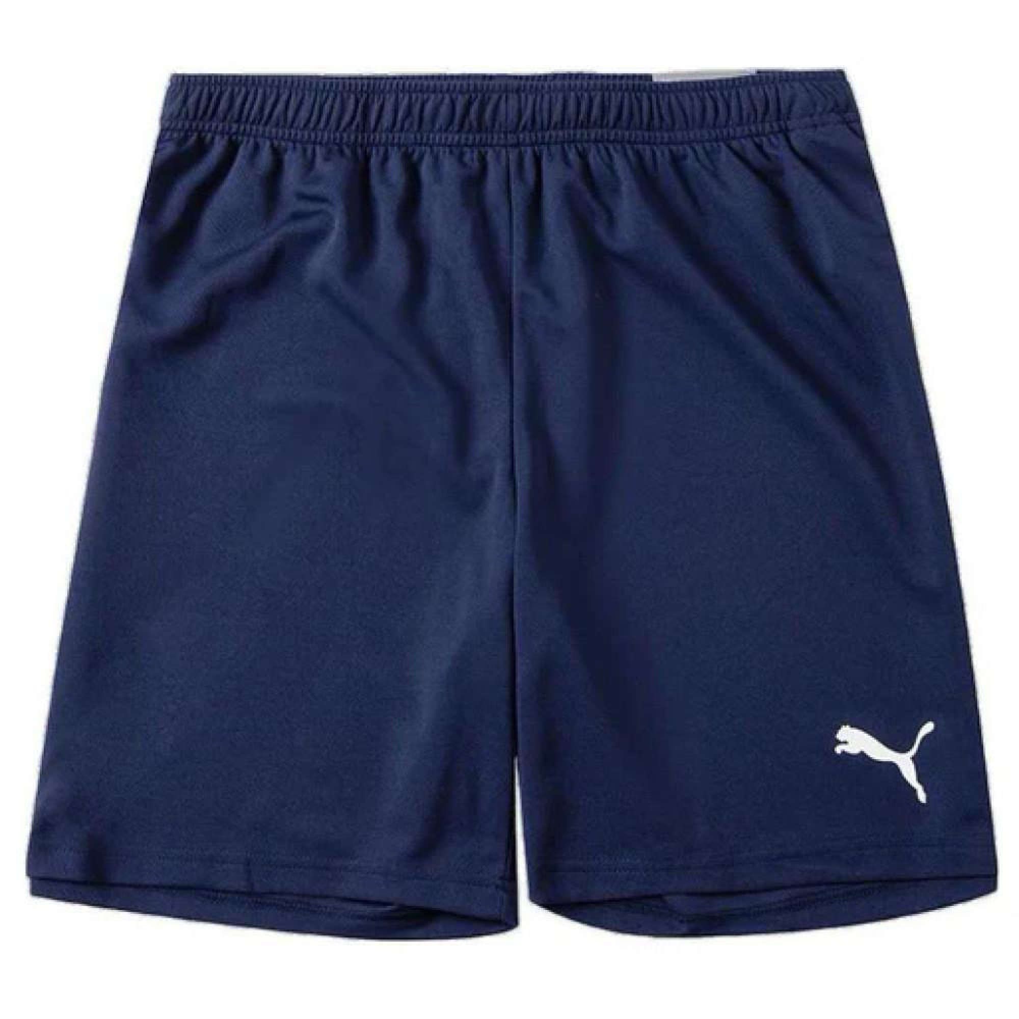 Шорти Puma teamRISE Short темно-синій Чол 3XL  704942-06 3XL - Robinzon.ua