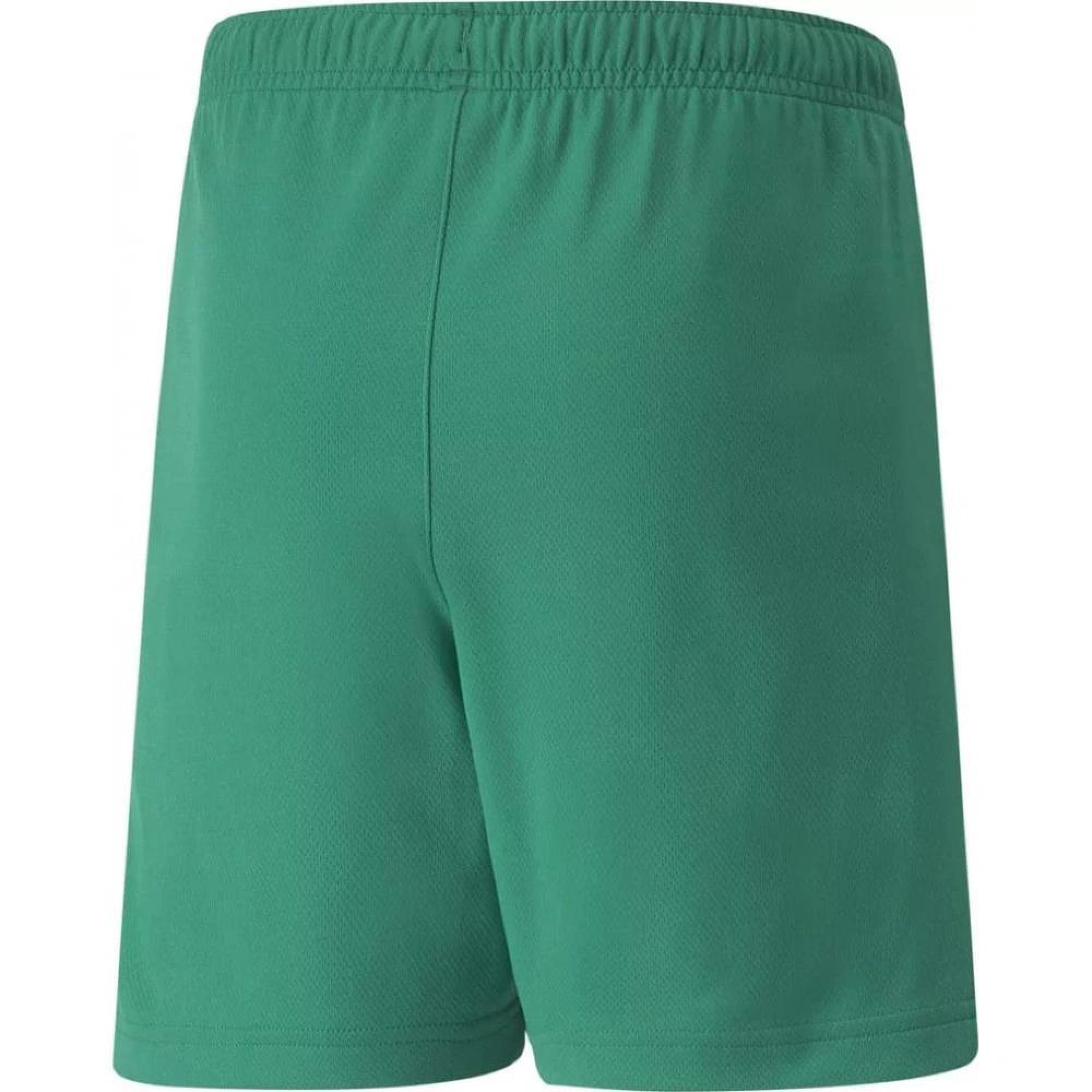 Шорты Puma teamRISE Short Jr зеленый Дет 152 см 704943-05 152 см - 1 - Robinzon.ua