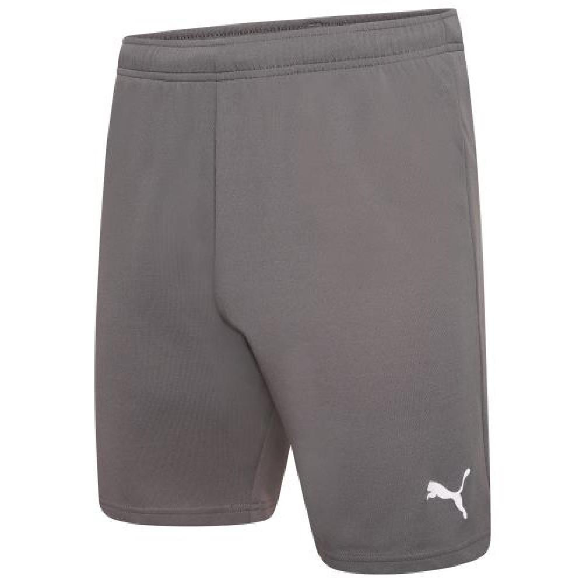 Шорти Puma teamRISE Short сірий Чол XXL 704942-13 XXL - Robinzon.ua