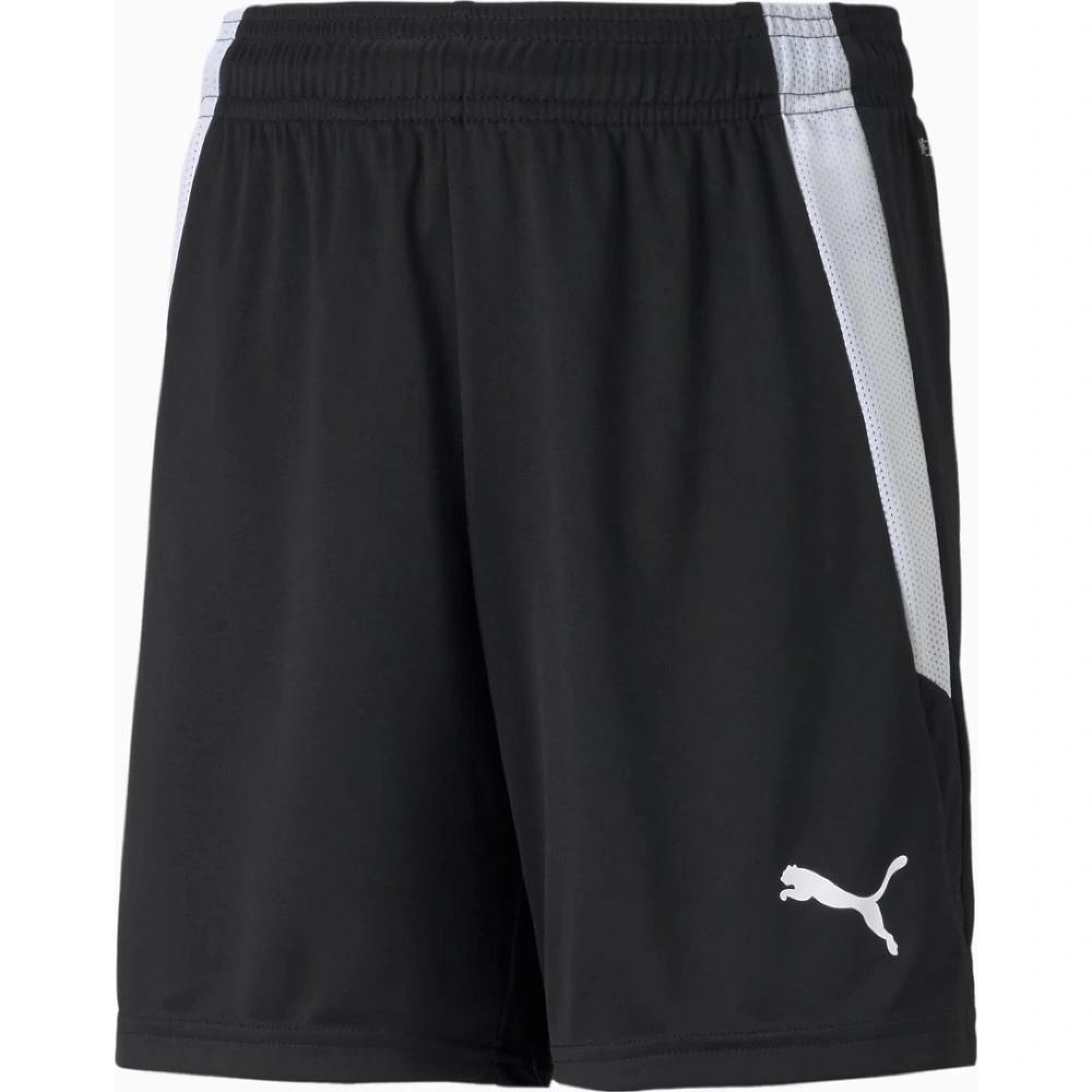 Шорти Puma teamLIGA Shorts Jr чорний, білий Діт 152 см 704931-03 152 см - Robinzon.ua