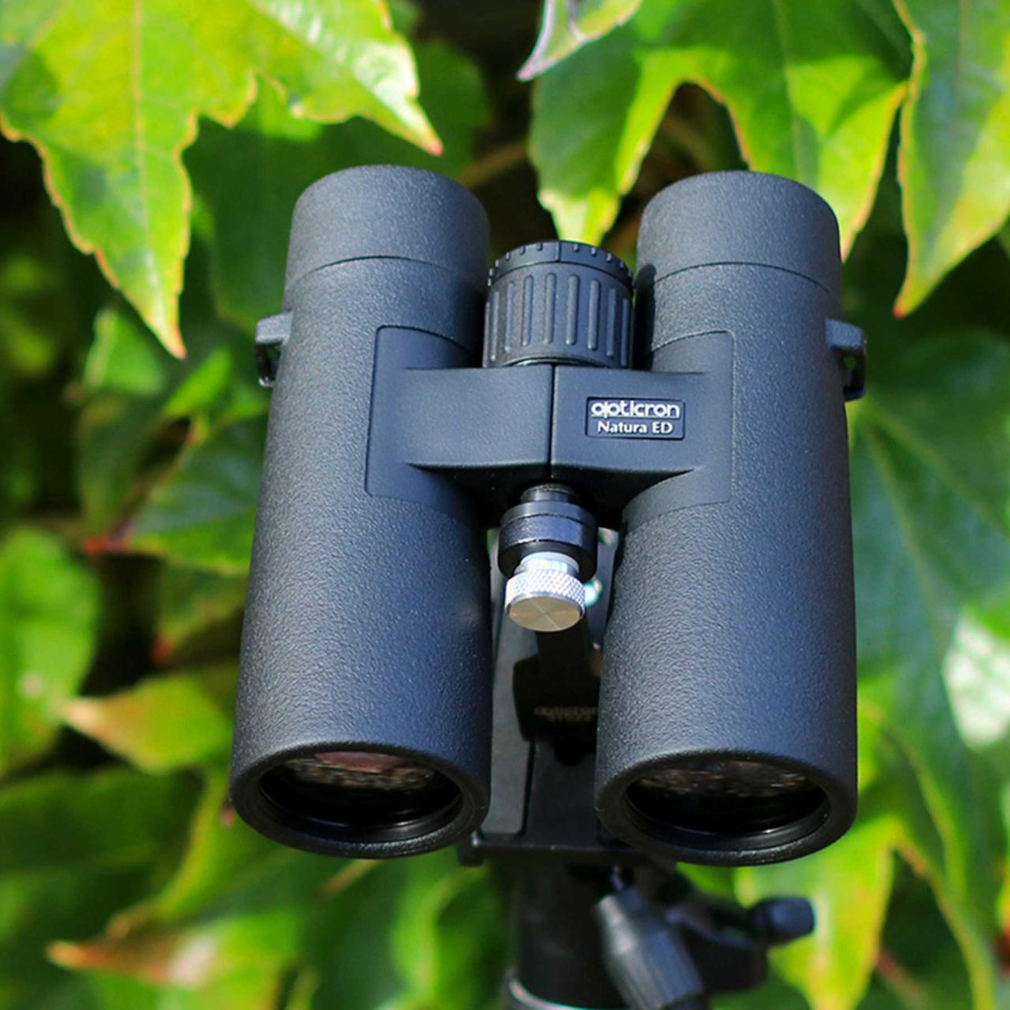 Бінокль Opticron Natura BGA ED 10x42 WP (30656) - 4 Бінокль Opticron Natura BGA ED 10x42 WP (30656) - 4 - Robinzon.ua