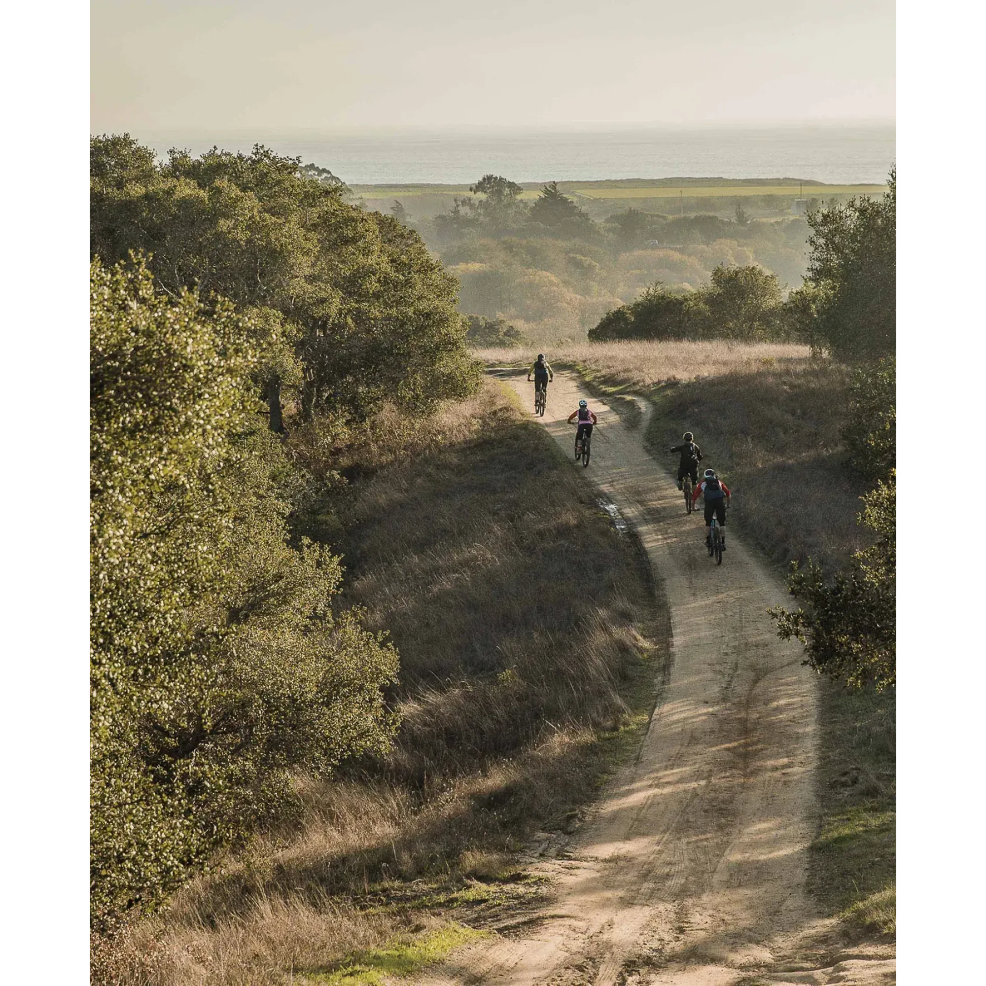 Шорти велосипедні POC Resistance Enduro Shorts, Uranium Black, XXL (PC 527531002XXL1) - 5 - Robinzon.ua