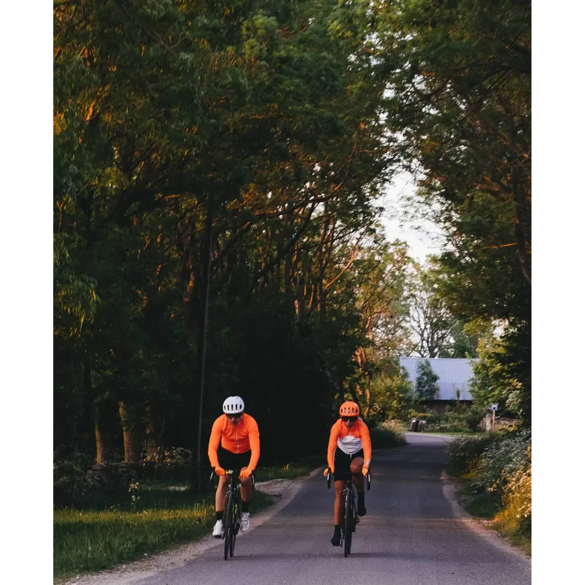 Велоперчатки POC AVIP Glove Long Zink Orange, XS (PC 302701205XSM1) - 3 - Robinzon.ua