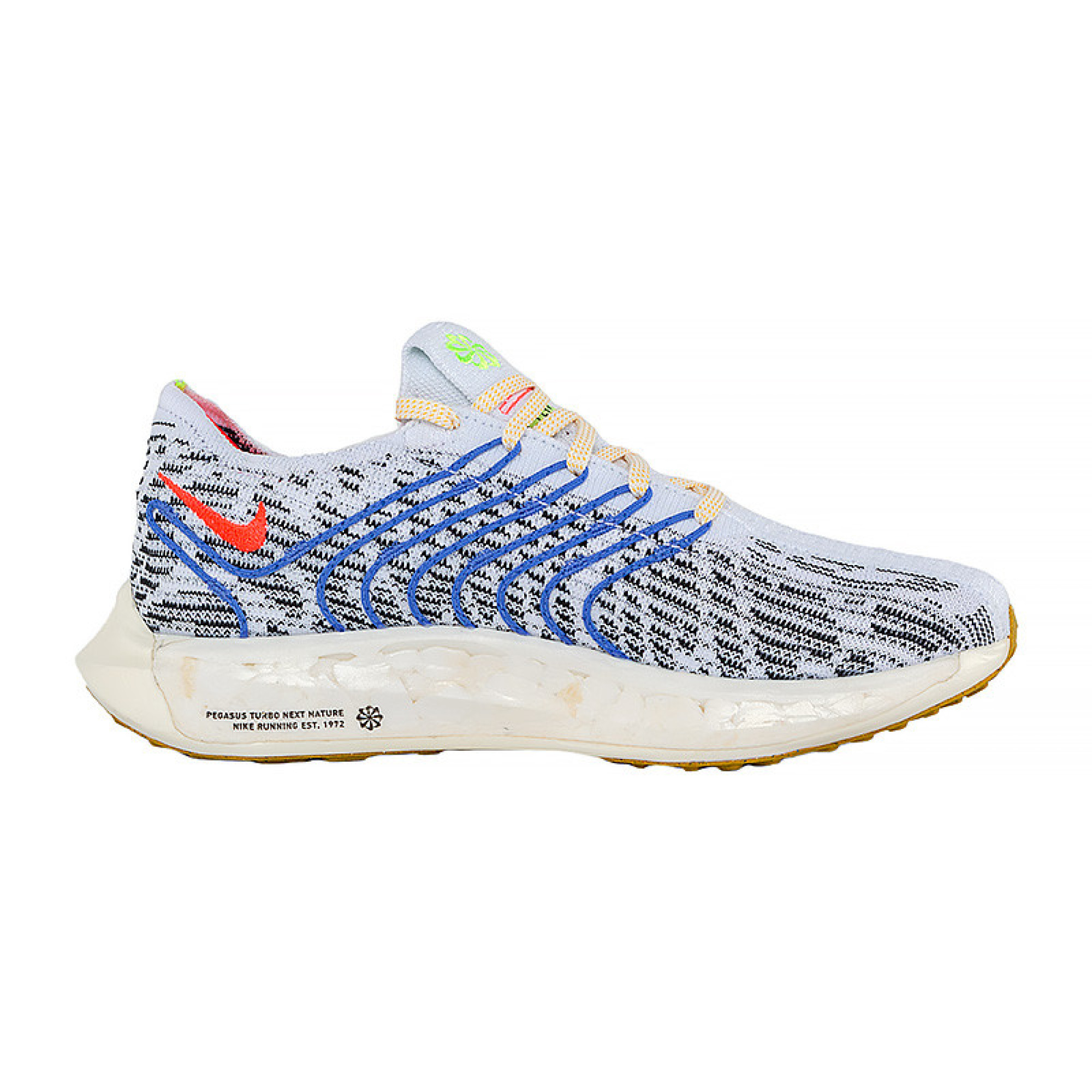 Жіночі Кросівки Nike PEGASUS TURBO NEXT NATURE Принт 41 (DM3414-002 41) - 1 - Robinzon.ua