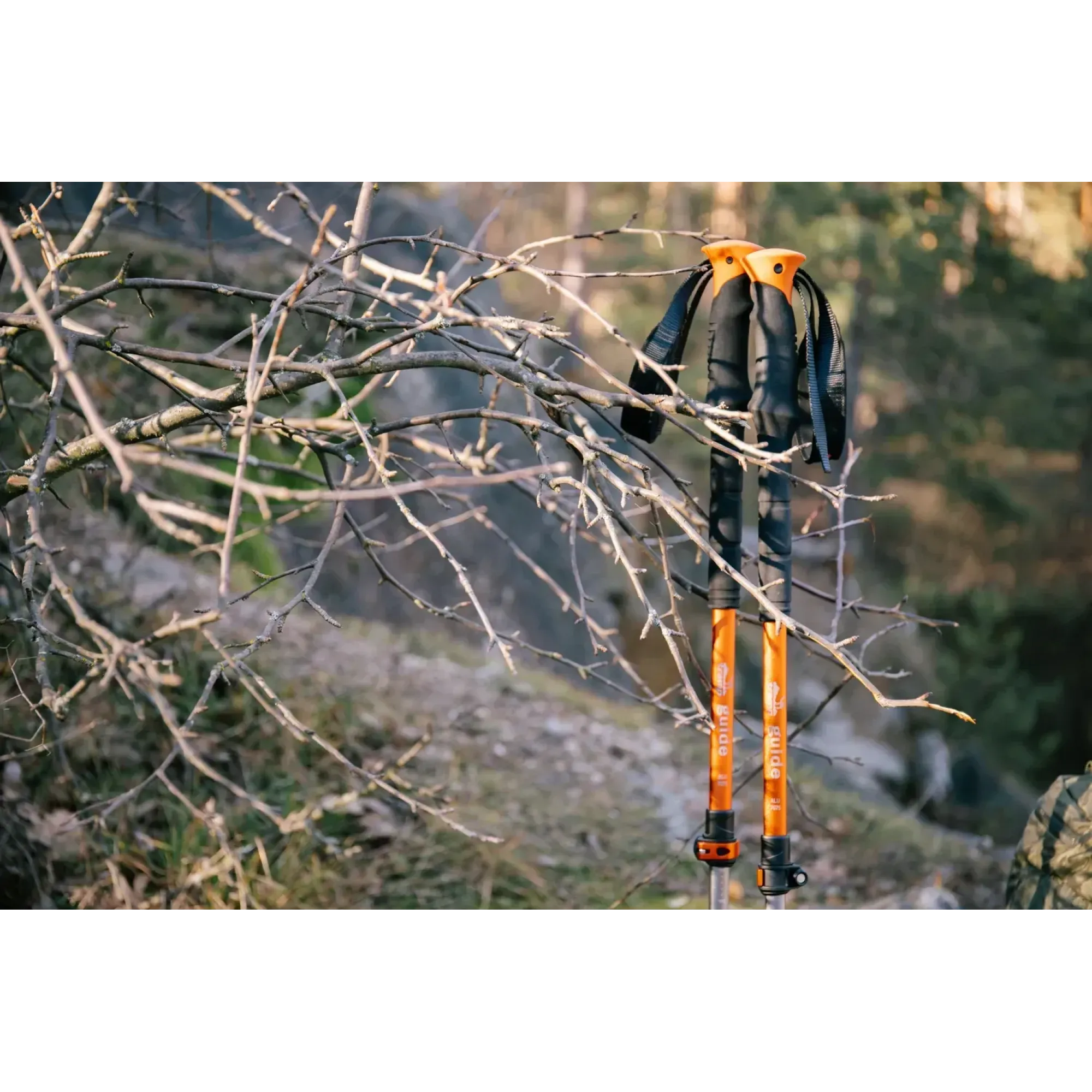 Трекінгові палиці Tramp Guide алюмінієві 62-135 см (пара) TRR-014 - 7 - Robinzon.ua