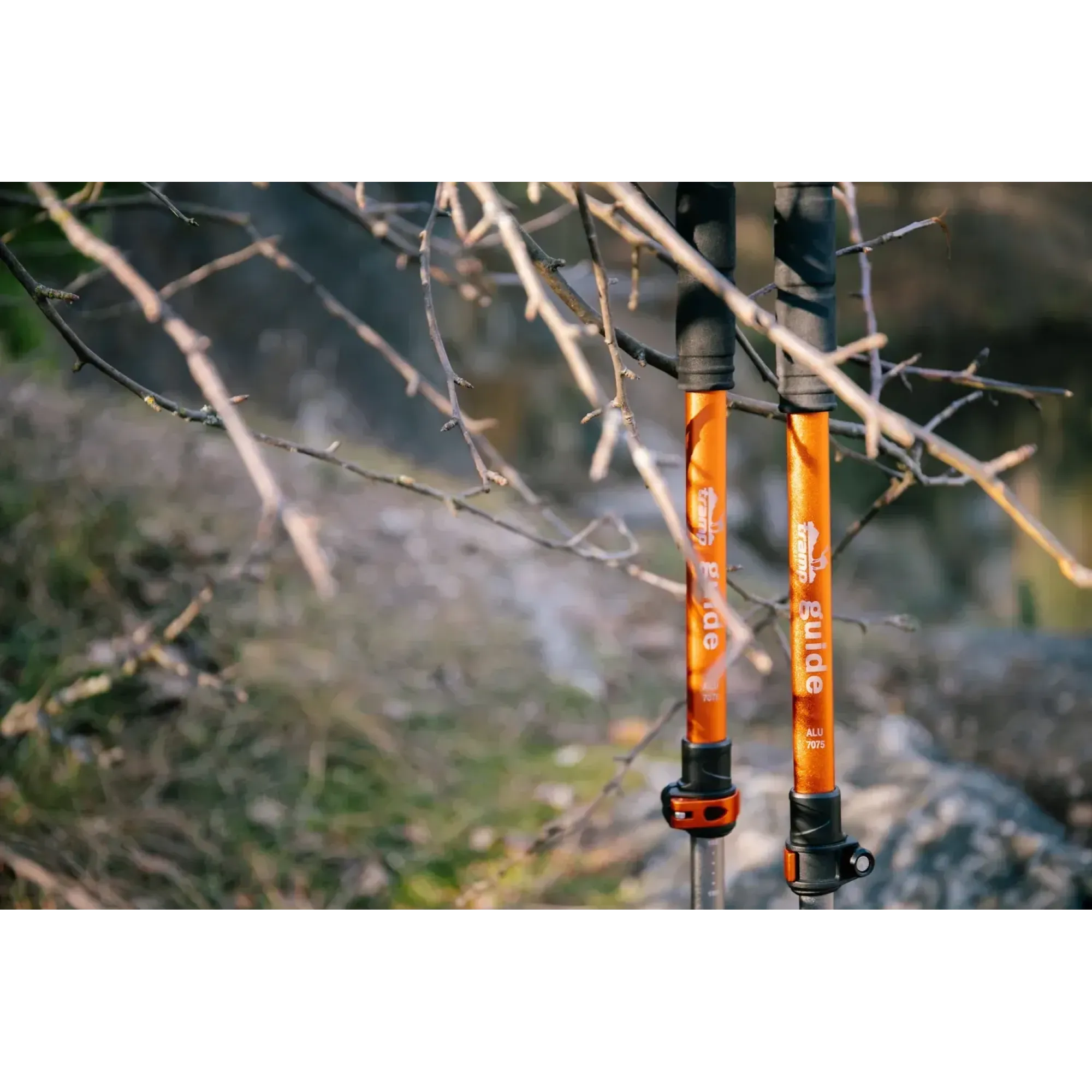 Трекінгові палиці Tramp Guide алюмінієві 62-135 см (пара) TRR-014 - 8 - Robinzon.ua