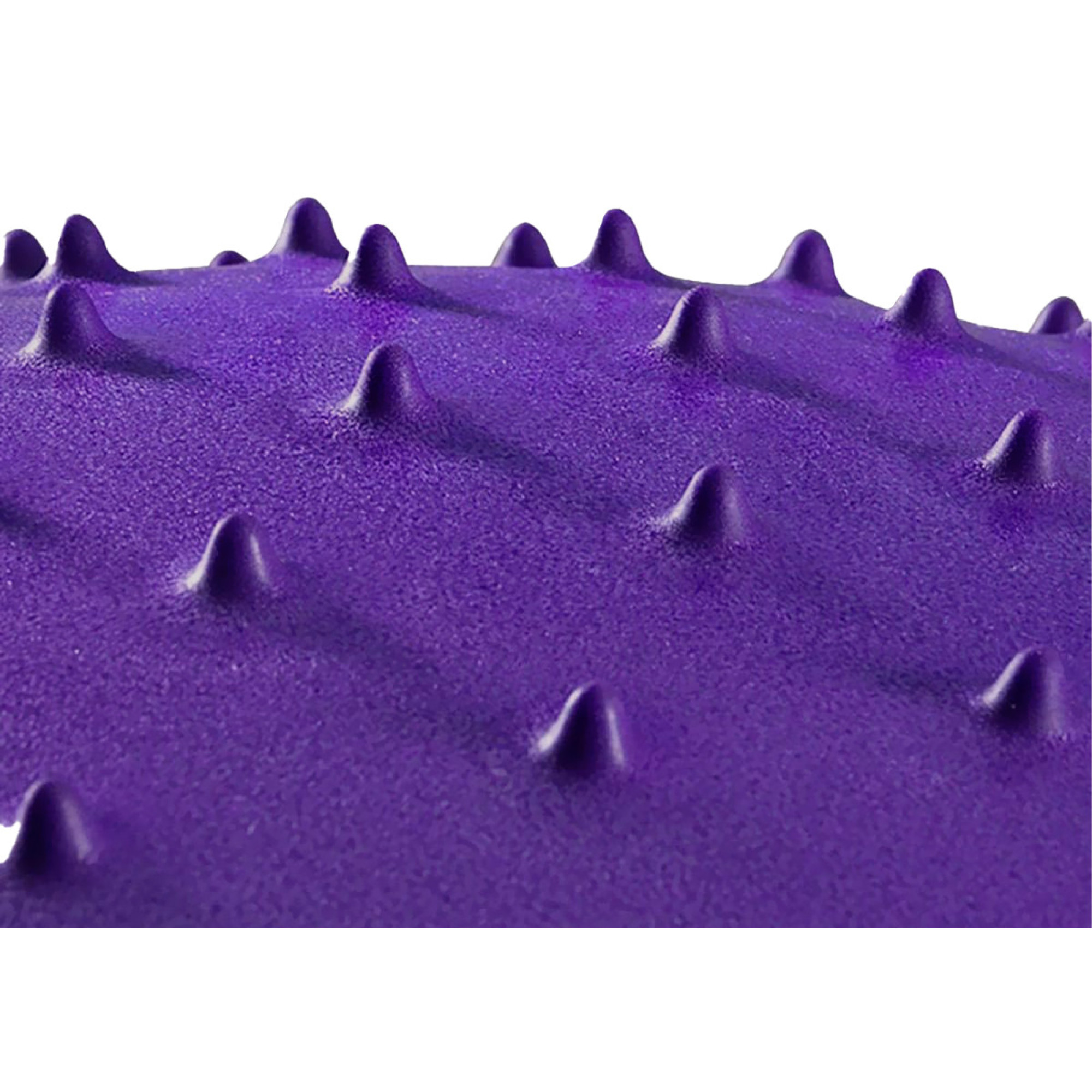 М'яч для фітнесу EasyFit 65 см фіолетовий (фітбол масажний) - 1 - Robinzon.ua