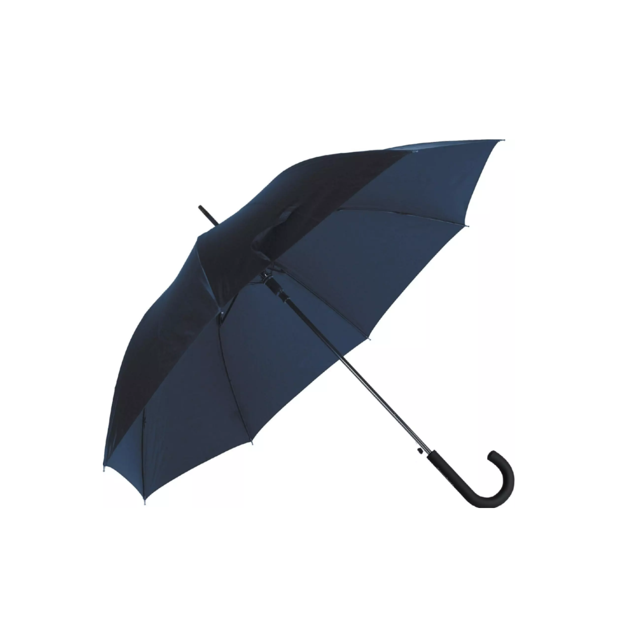 Парасолька-тростина RAIN PRO BLUE - Robinzon.ua