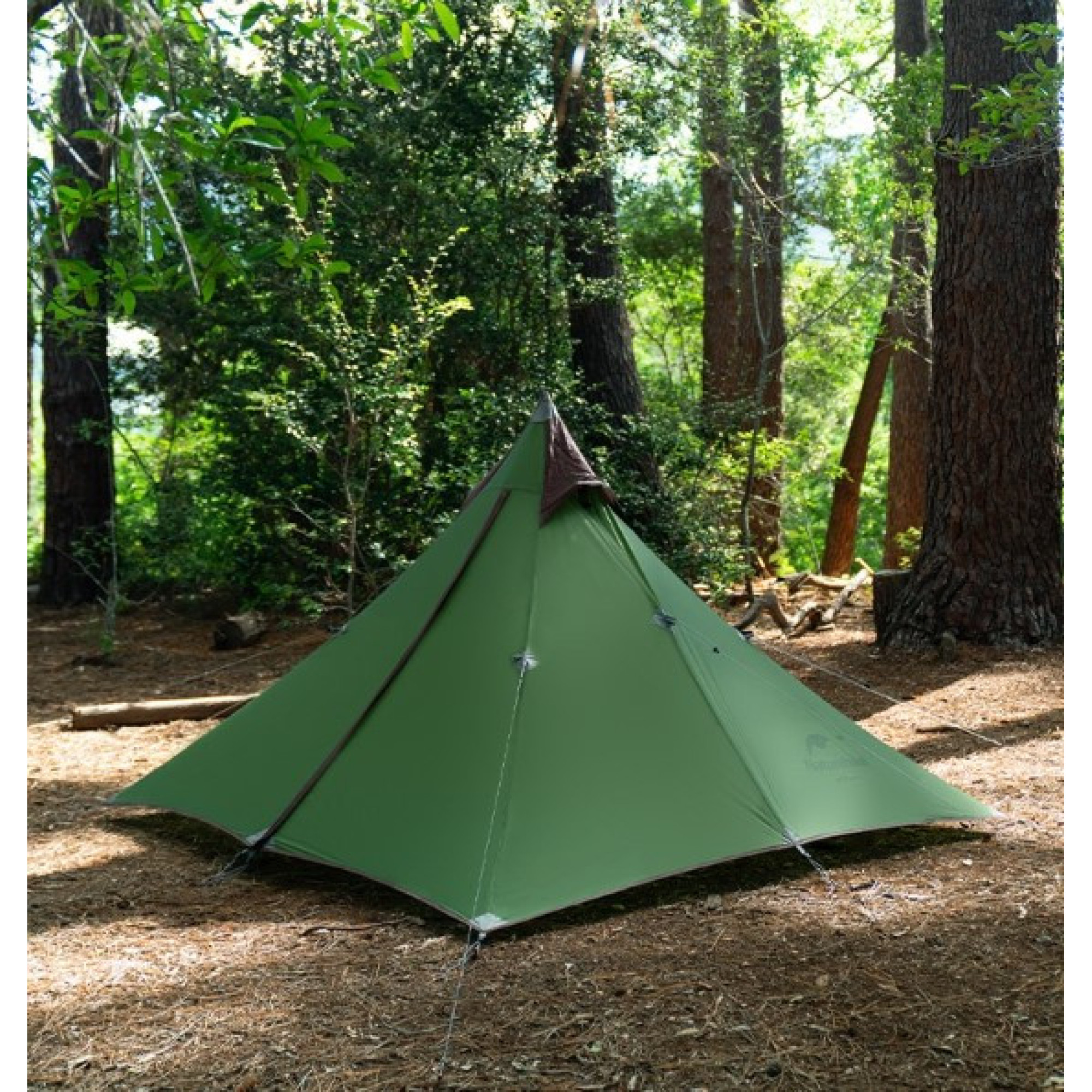 Одноместная палатка Naturehike Spire 1 20D нейлон зеленый NH17T030-L. - 5 - Robinzon.ua