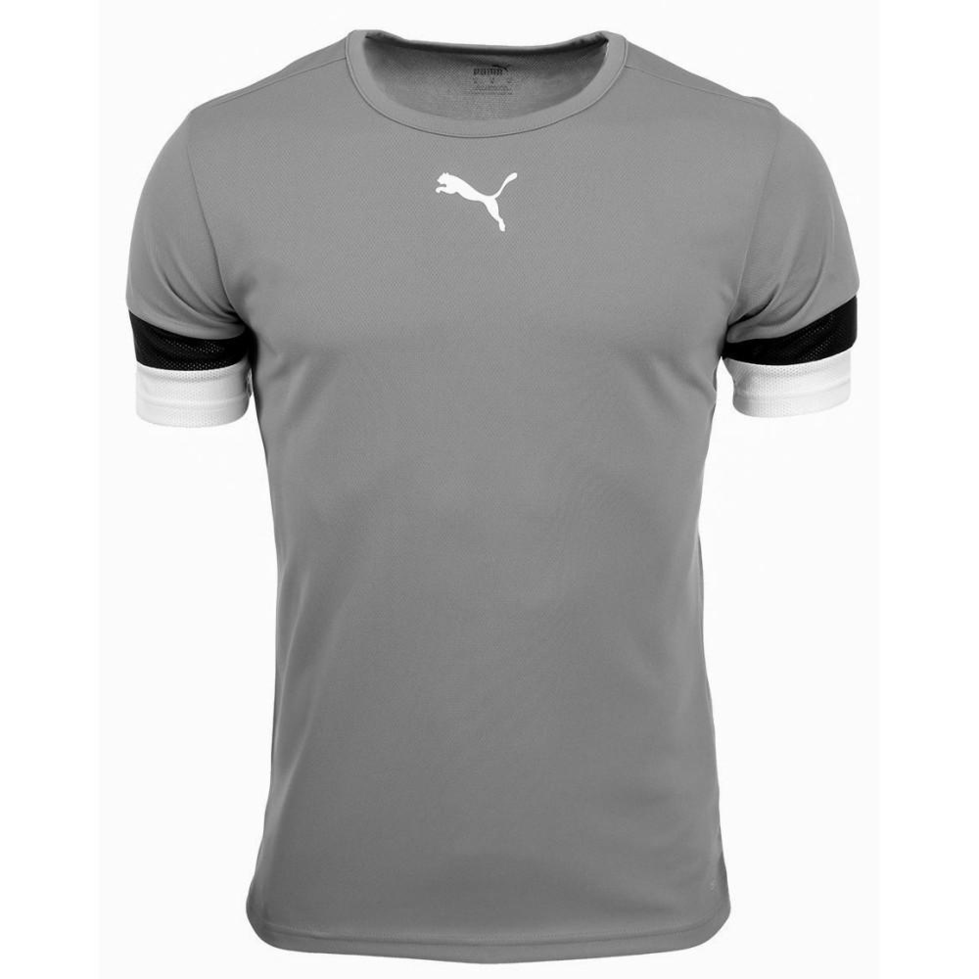 Футболка Puma teamRISE Jersey Jr сірий Діт 128 см 704938-13 128 - Robinzon.ua