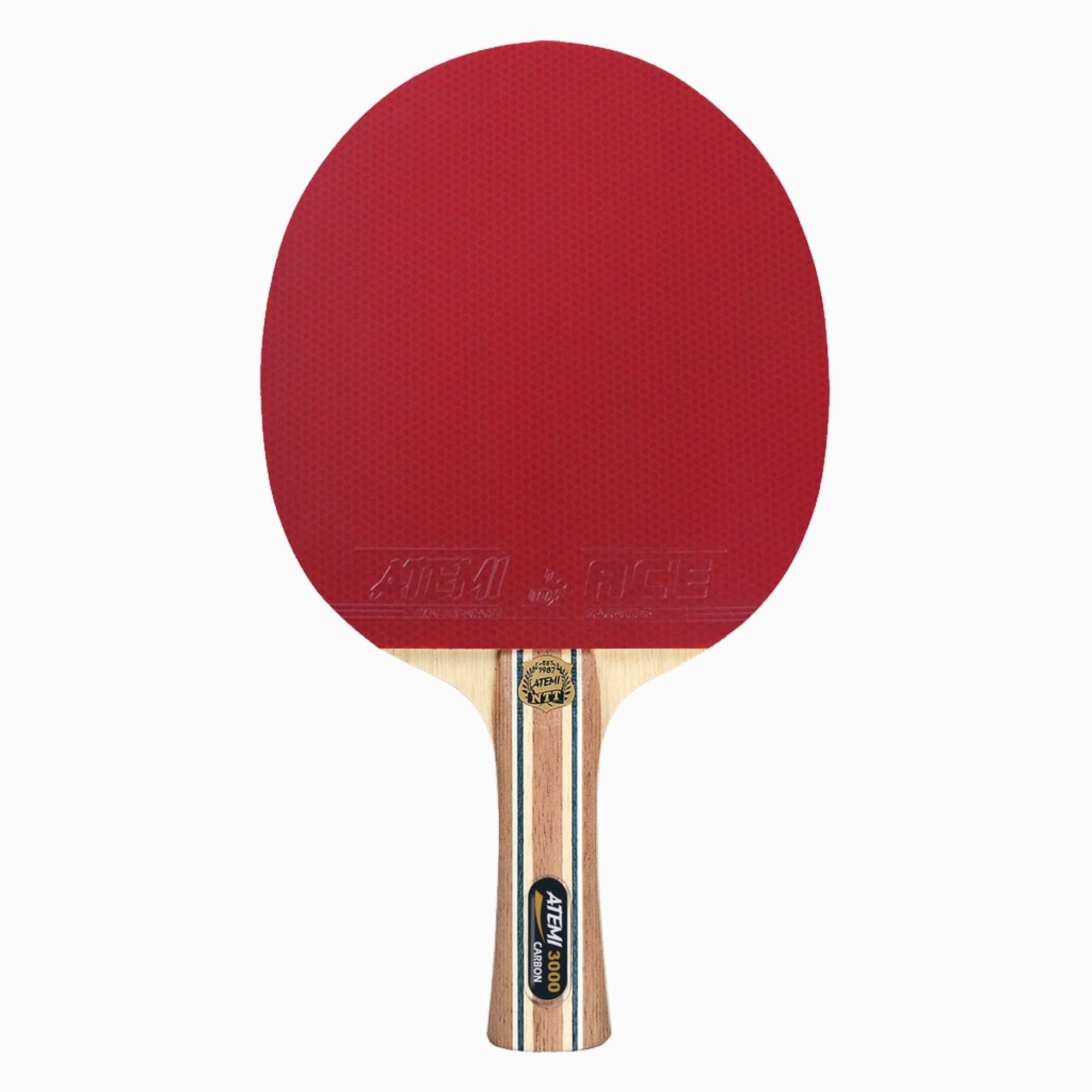 Ракетка для настольного тенниса ATEMI 3000 анатомическая Carbon ECO-Line (4740152100543) - Robinzon.ua