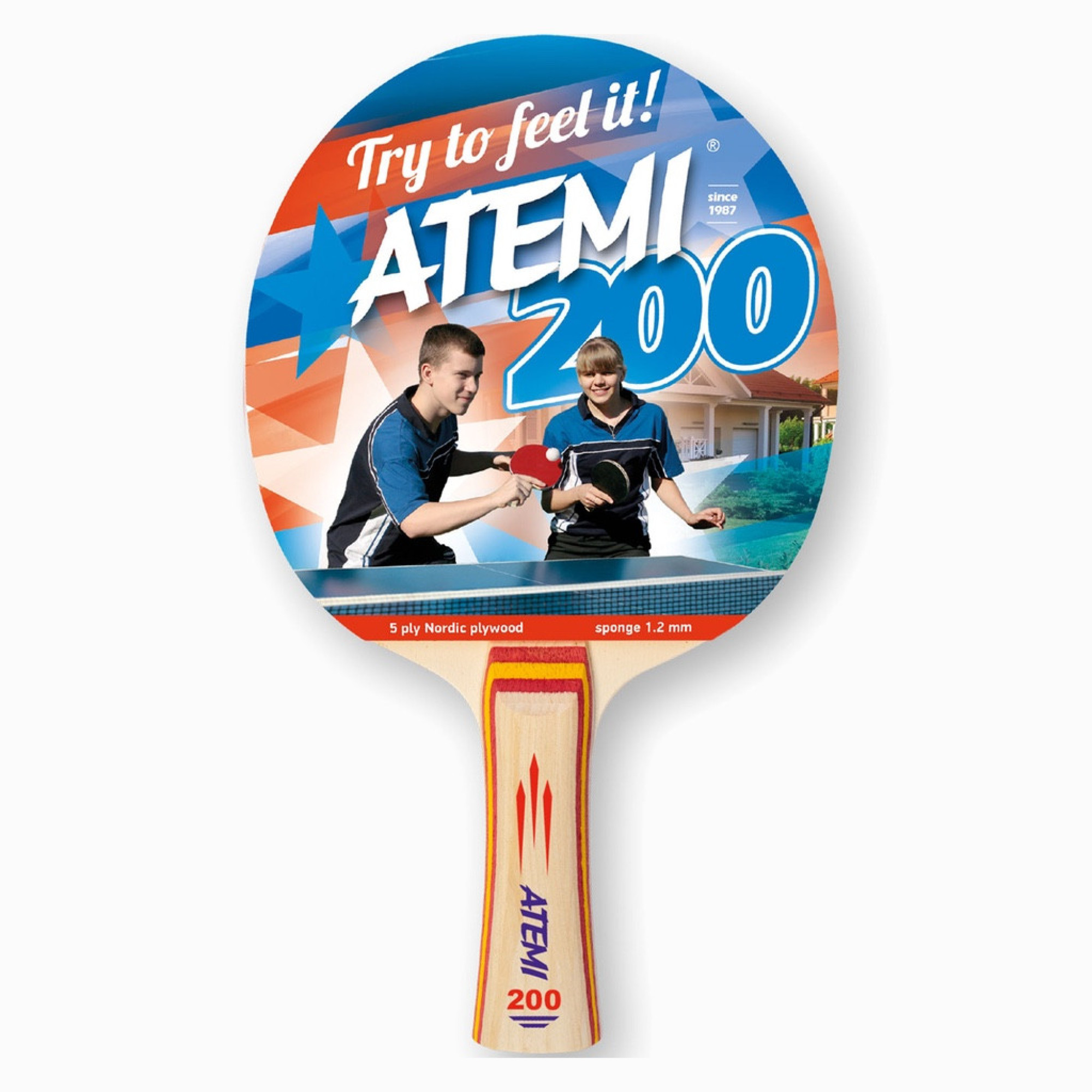 Ракетка для настольного тенниса ATEMI 200 анатомическая - Robinzon.ua