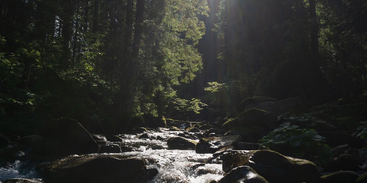 Сходження на Говерлу: маршрути та корисні поради - 2 - Robinzon.ua