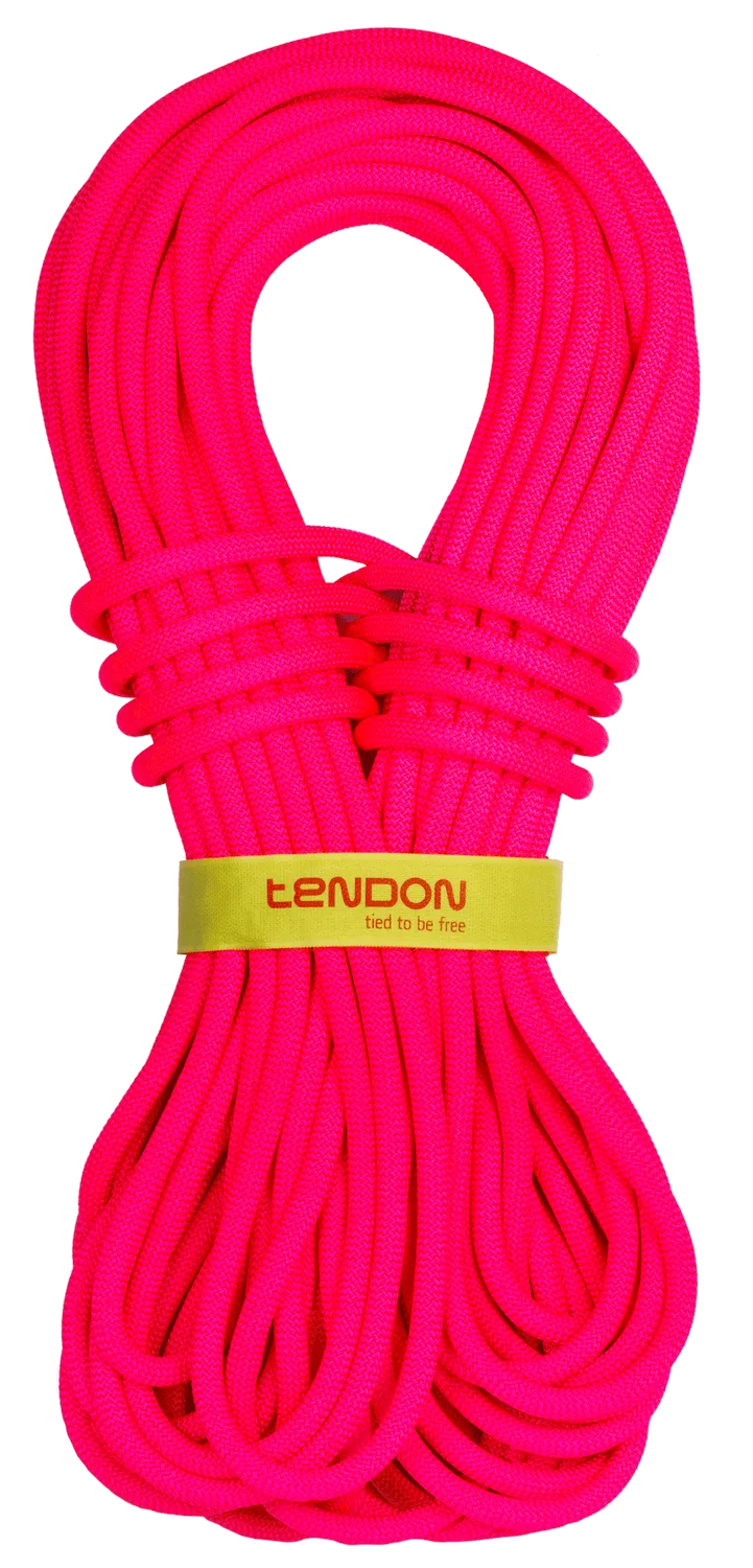 Динамічна мотузка Tendon Master 8.6 CS, Pink, 60м (TND D086TM42C060C) - Robinzon.ua