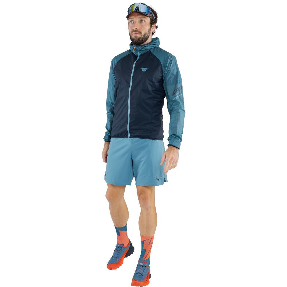 Шорти чоловічі Dynafit Alpine Shorts M, Storm blue, XL (71645/8071 XL) - 2 - Robinzon.ua