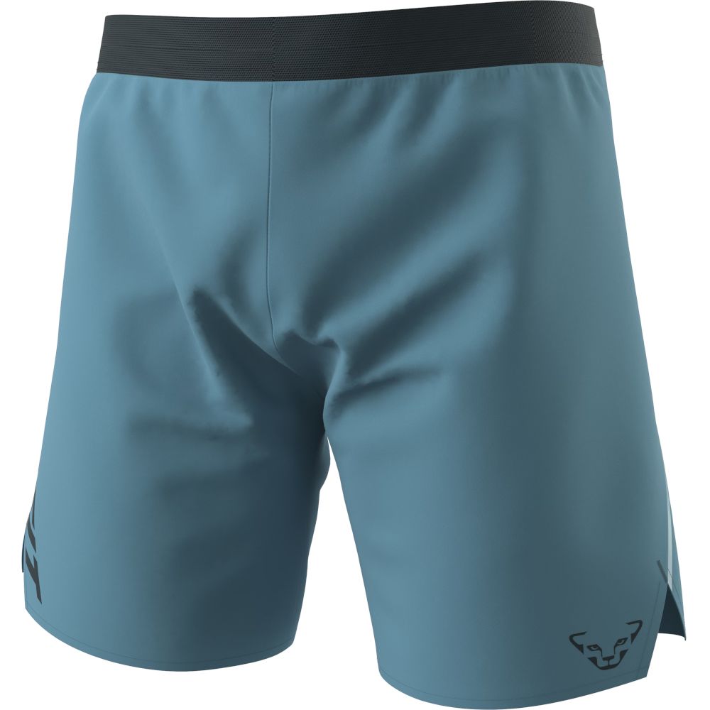 Шорти чоловічі Dynafit Alpine Shorts M, Storm blue, XL (71645/8071 XL) - Robinzon.ua