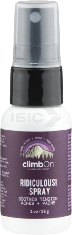 Спрей от боли Black Diamond Ridiculous Spray 1 oz (28 g), No color, One Size (CO 640008.0000) - Robinzon.ua