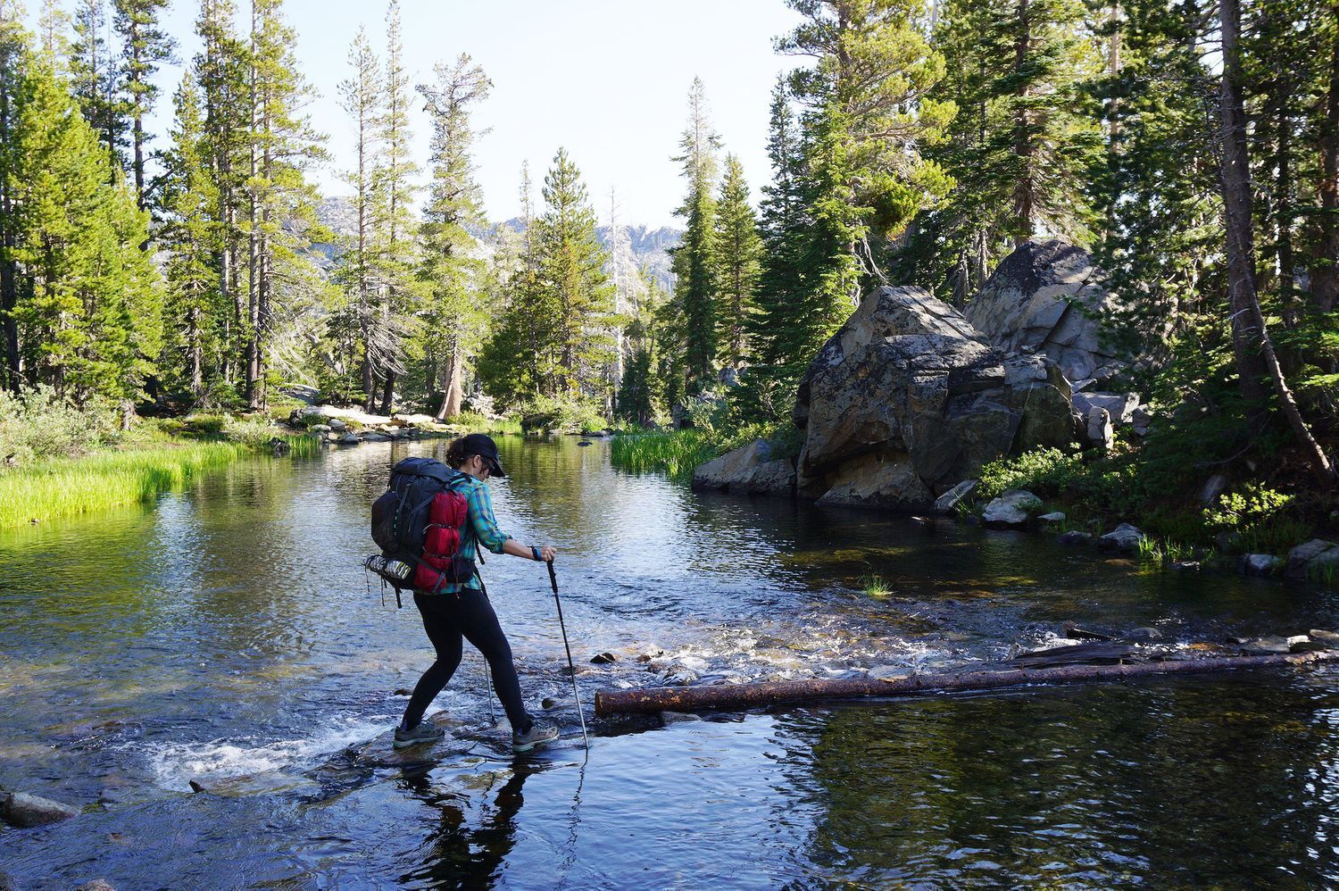 Трекінгові телескопічні палиці Black Diamond W Trail, 62-125 см, Cherrywood (BD 1125082009ALL1) - 7 - Robinzon.ua