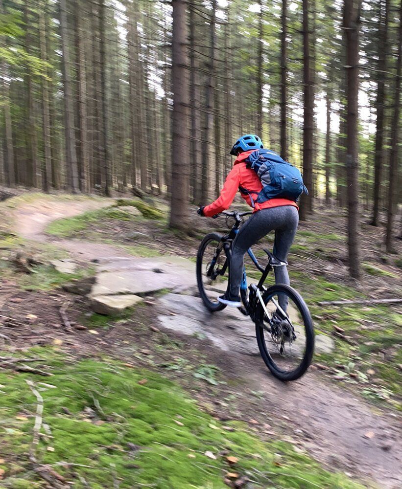 Рюкзак Pinguin Air 33, Red (PNG 317138) 2020 - 5 - Robinzon.ua