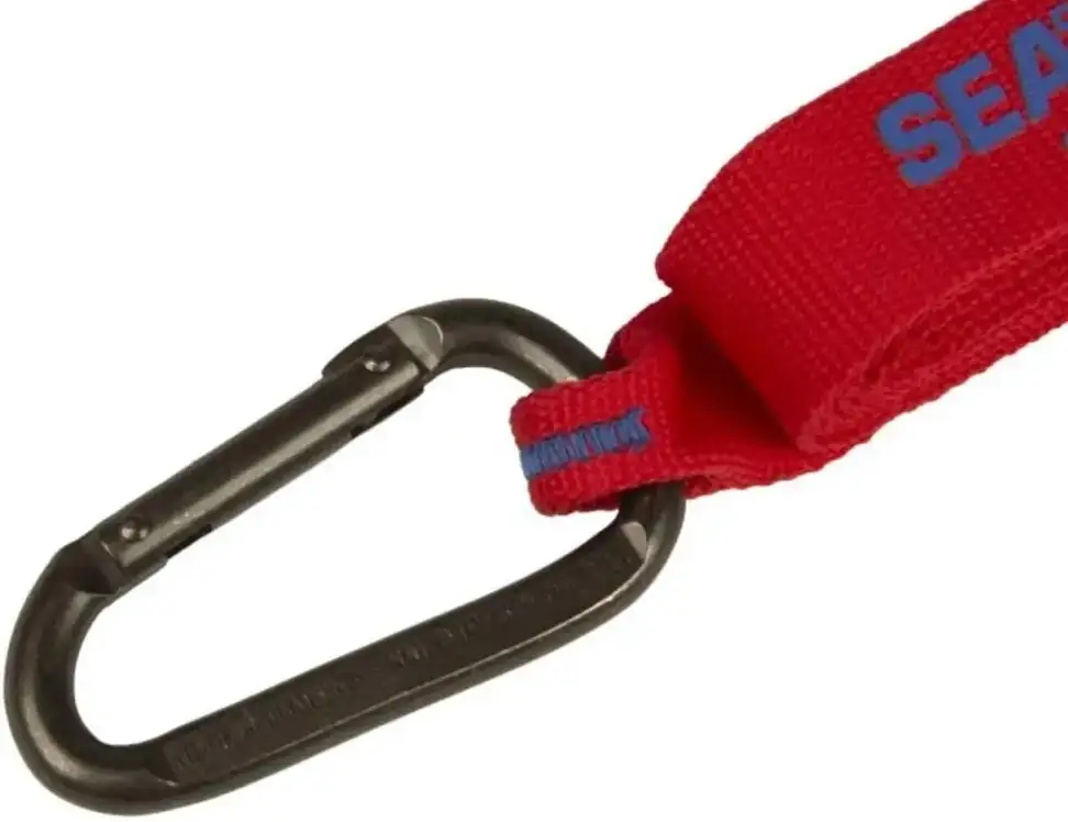 Стяжний ремінь Carabiner Tie Down 2 Pack Red, 4 м від Sea to Summit (STS ACTD4) - 2 - Robinzon.ua