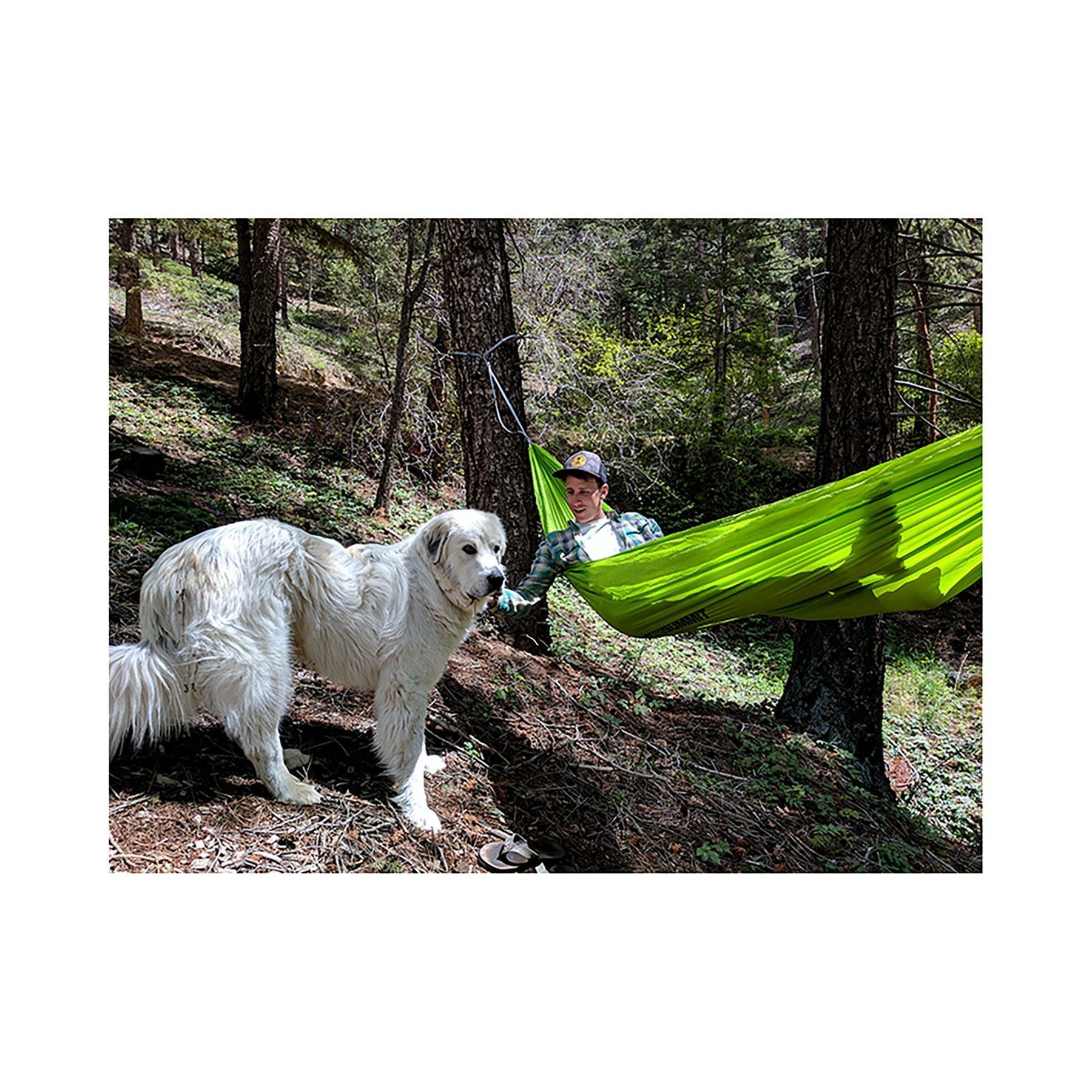 Гамак Hammock Set Pro Single Olive від Sea To Summit; одномісний; (STS AHAMSETSOL) - 2 - Robinzon.ua