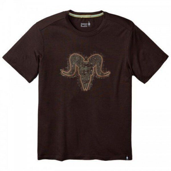 Футболка чоловіча Smartwool Merino 150 Aires Tee Sumatra Brown, р. S (SW 16078.893-S) - Robinzon.ua