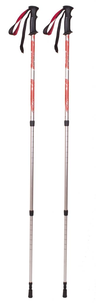 Треккинговые палки Tramp Scout пара TRR-009 - Robinzon.ua