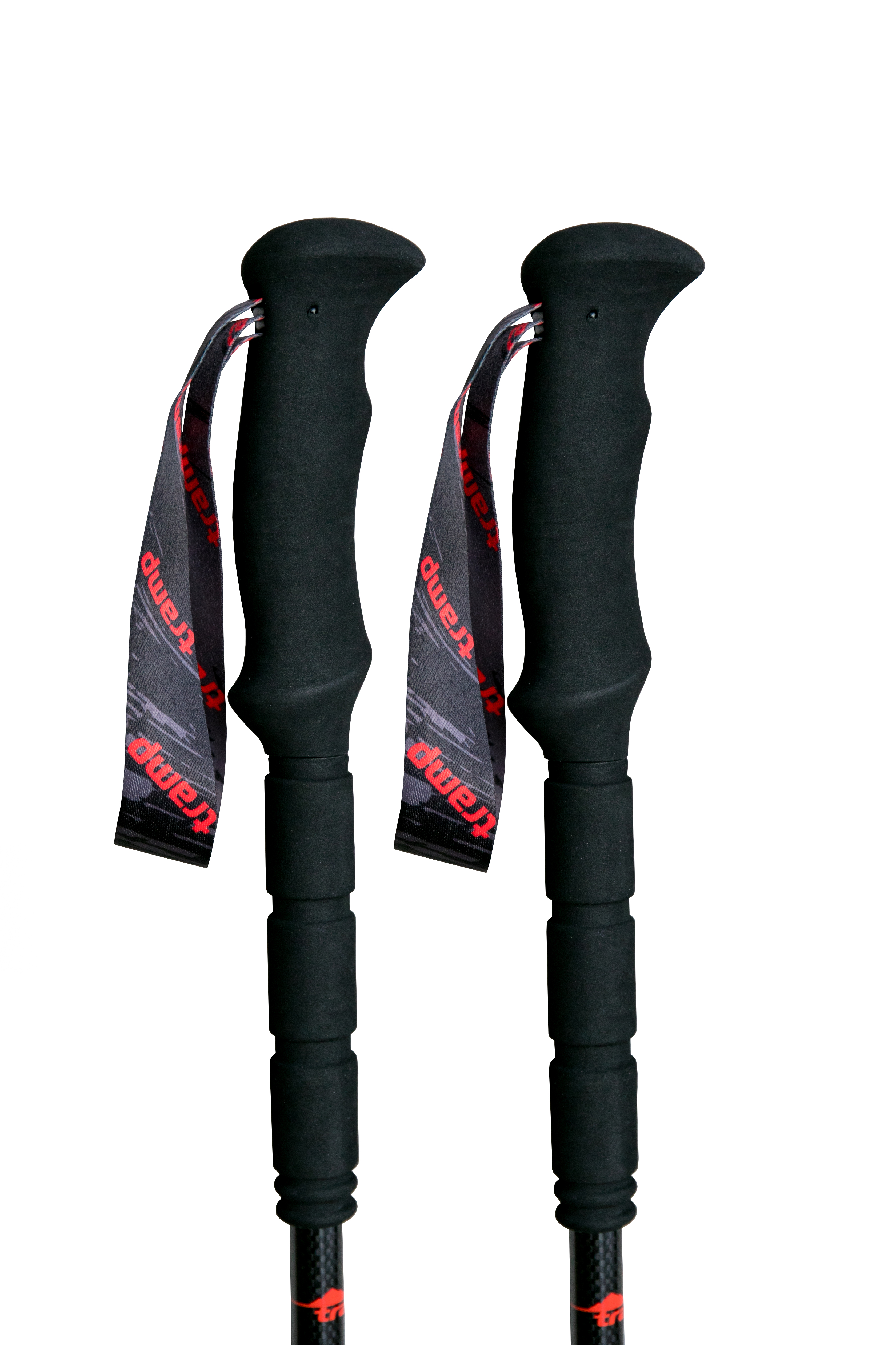 Треккинговые палки Tramp Carbon TRR-015 - 2 - Robinzon.ua