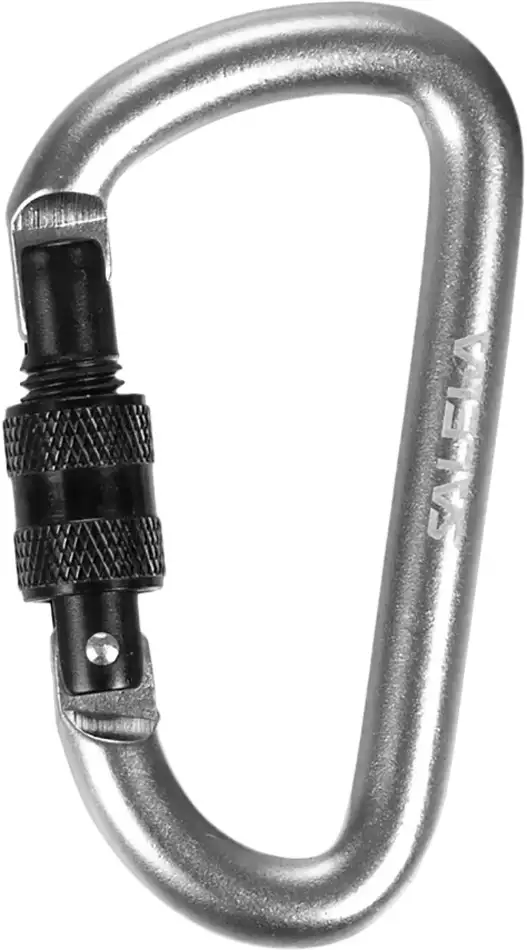 Брелок-карабін Salewa D-Shape Carbiner with Screw - Robinzon.ua