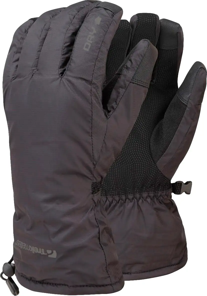 Перчатки Trekmates Classic DRY Glove, black, M (TM-004545/TM-01000) - Robinzon.ua