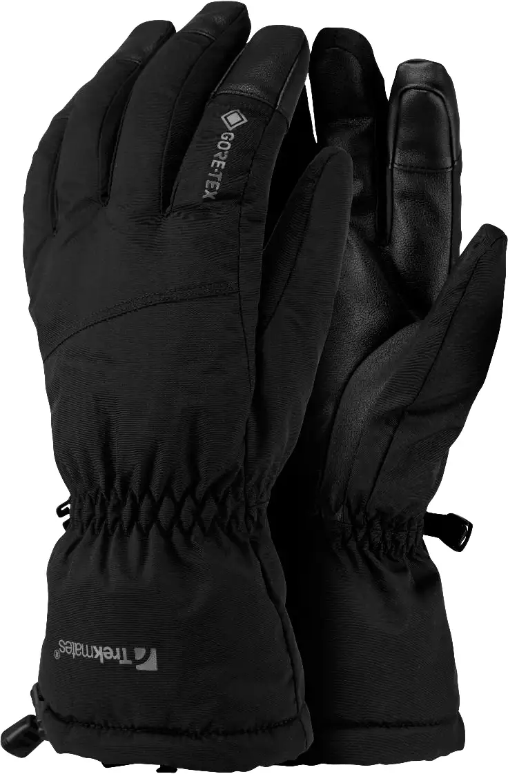 Перчатки Trekmates Chamonix GTX Glove, black, XL (TM-004818/TM-01000) - Robinzon.ua