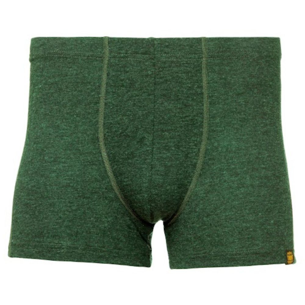 Термотруси чоловічі Turbat Retezat Boxer Mns kombu green XXL хакі (012.002.0687) - Robinzon.ua